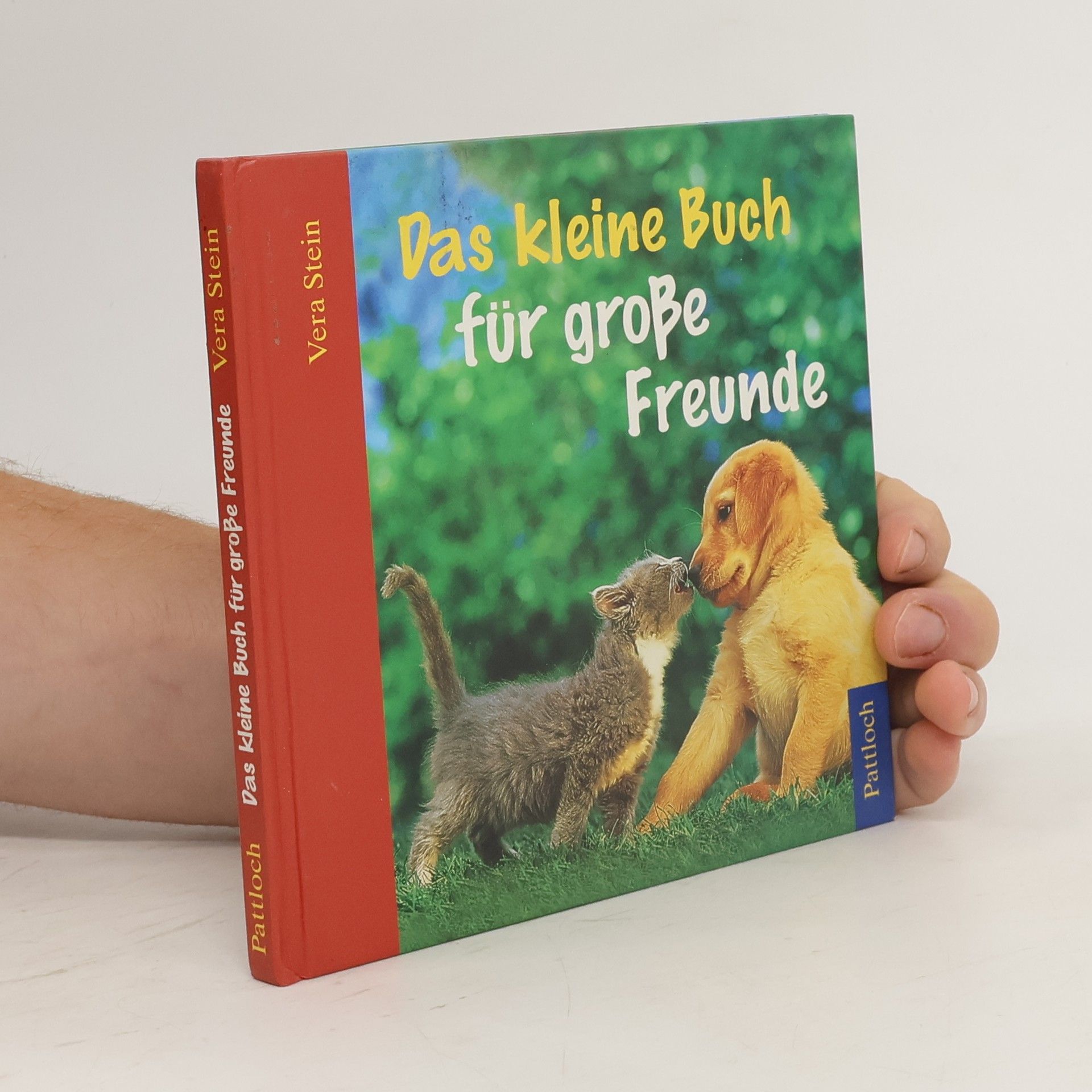 Vera Stein Das kleine Buch für große Freunde