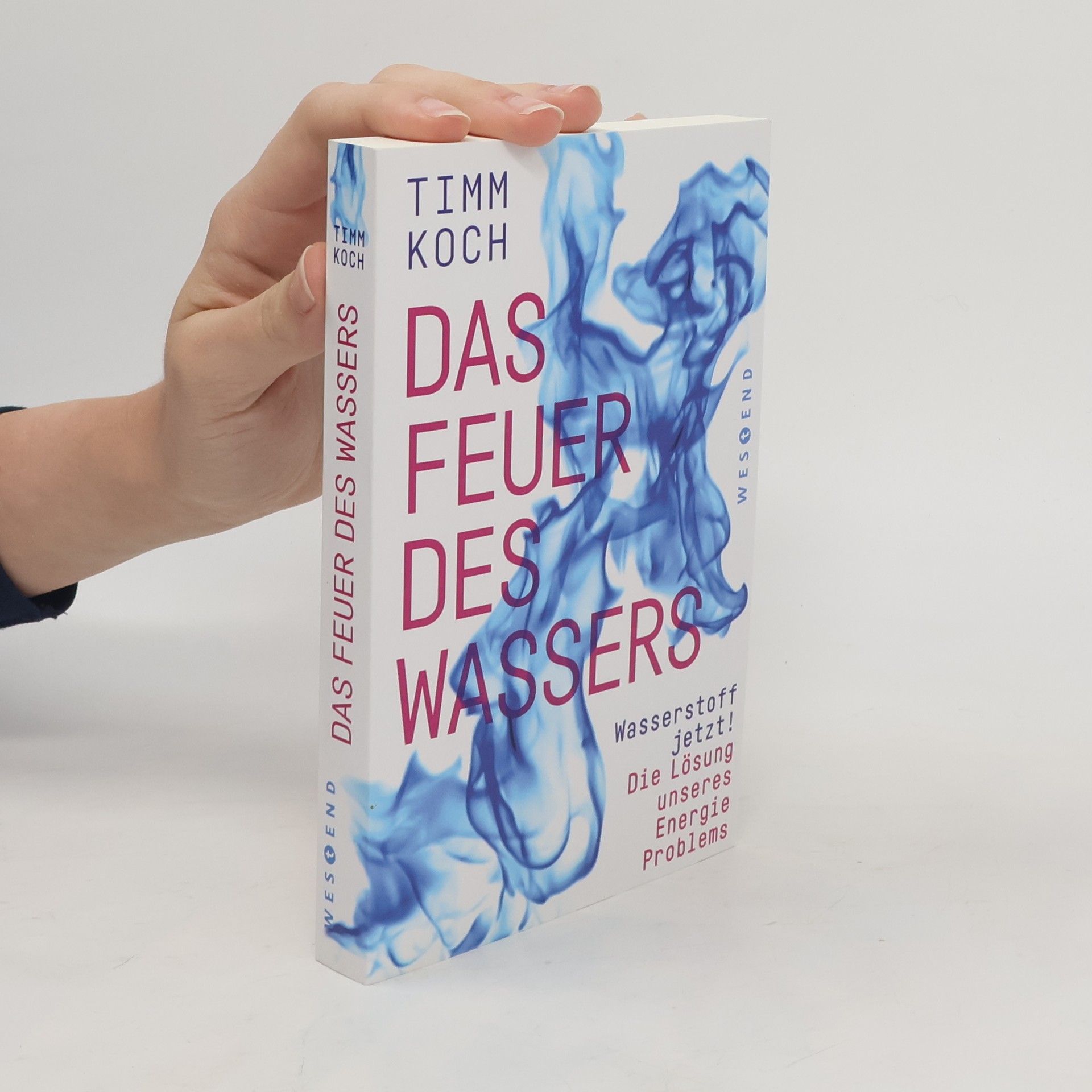 Timm Koch Das Feuer des Wassers