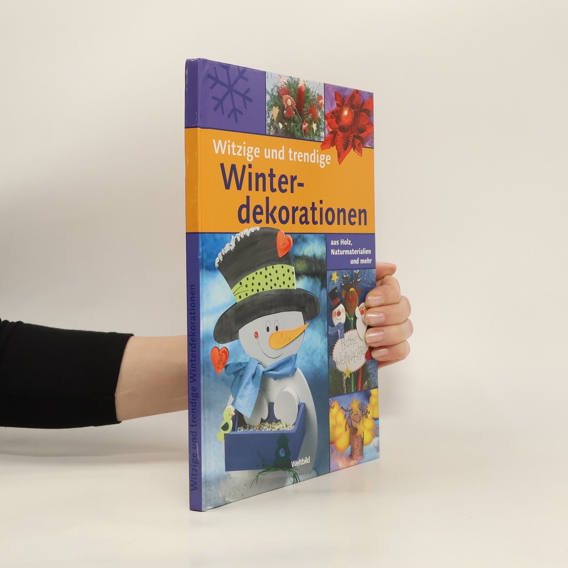 Kolektiv autorů Witzige und trendige Winterdekorationen