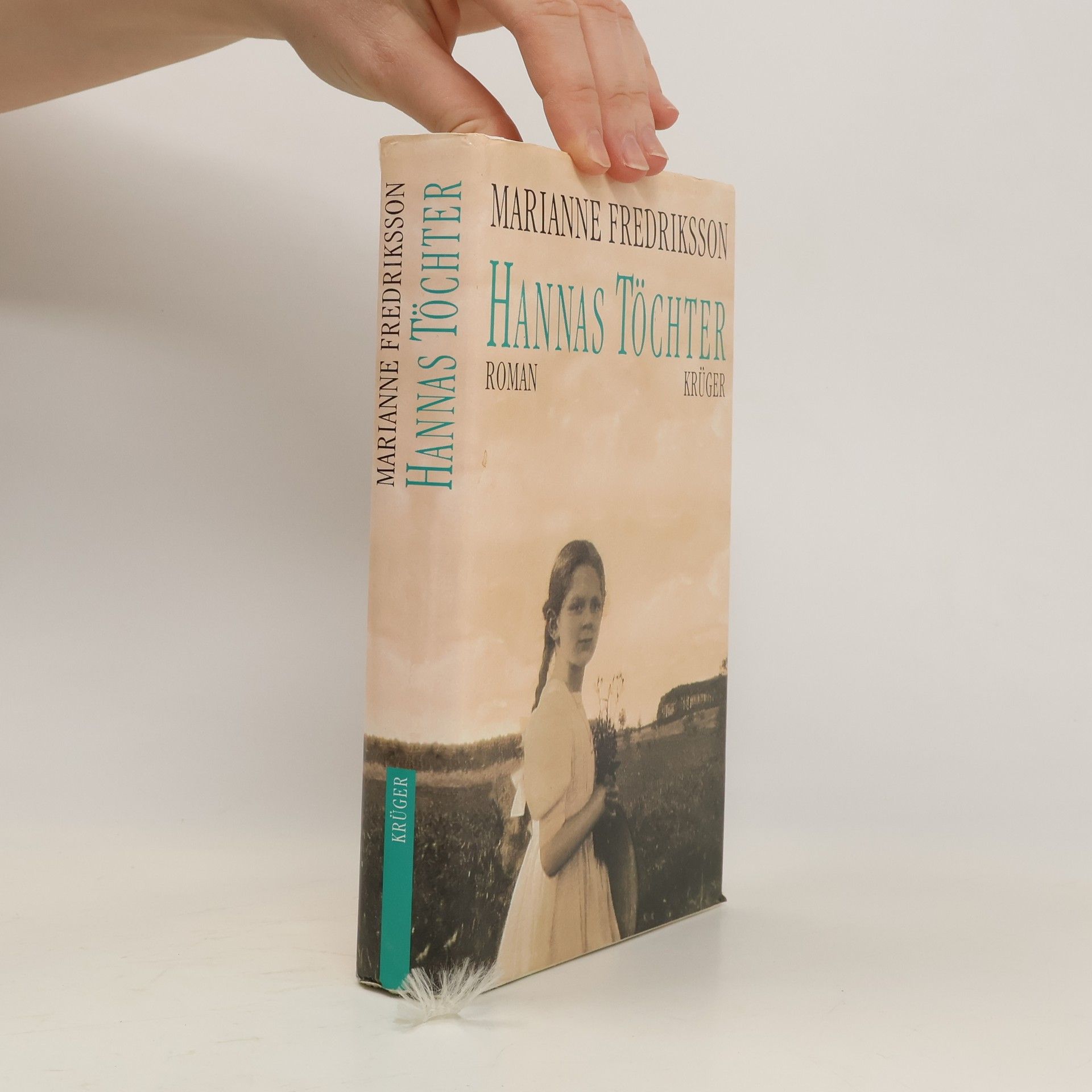 Marianne Fredriksson Hannas Töchter : Roman