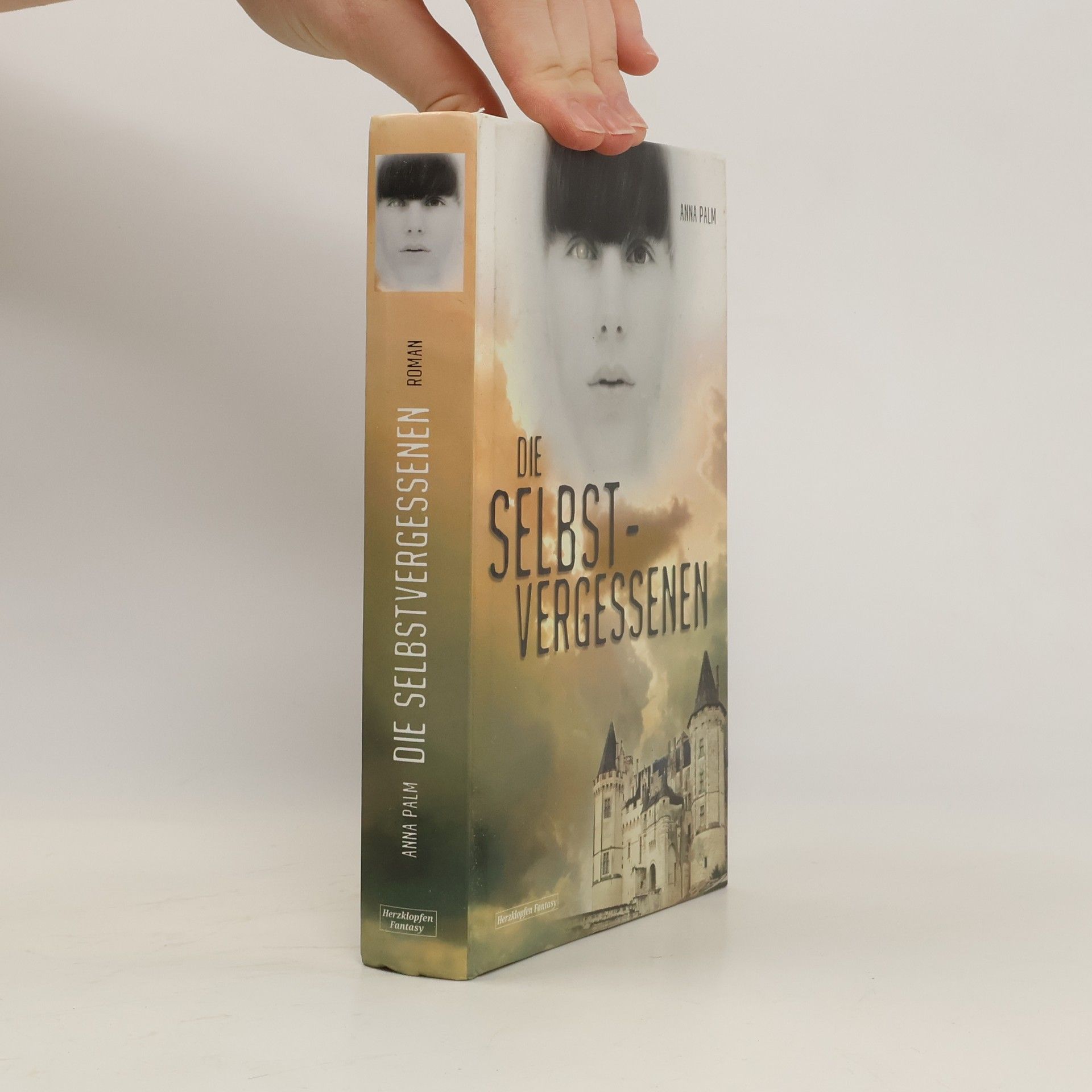 Anna Palm Die Selbstvergessenen