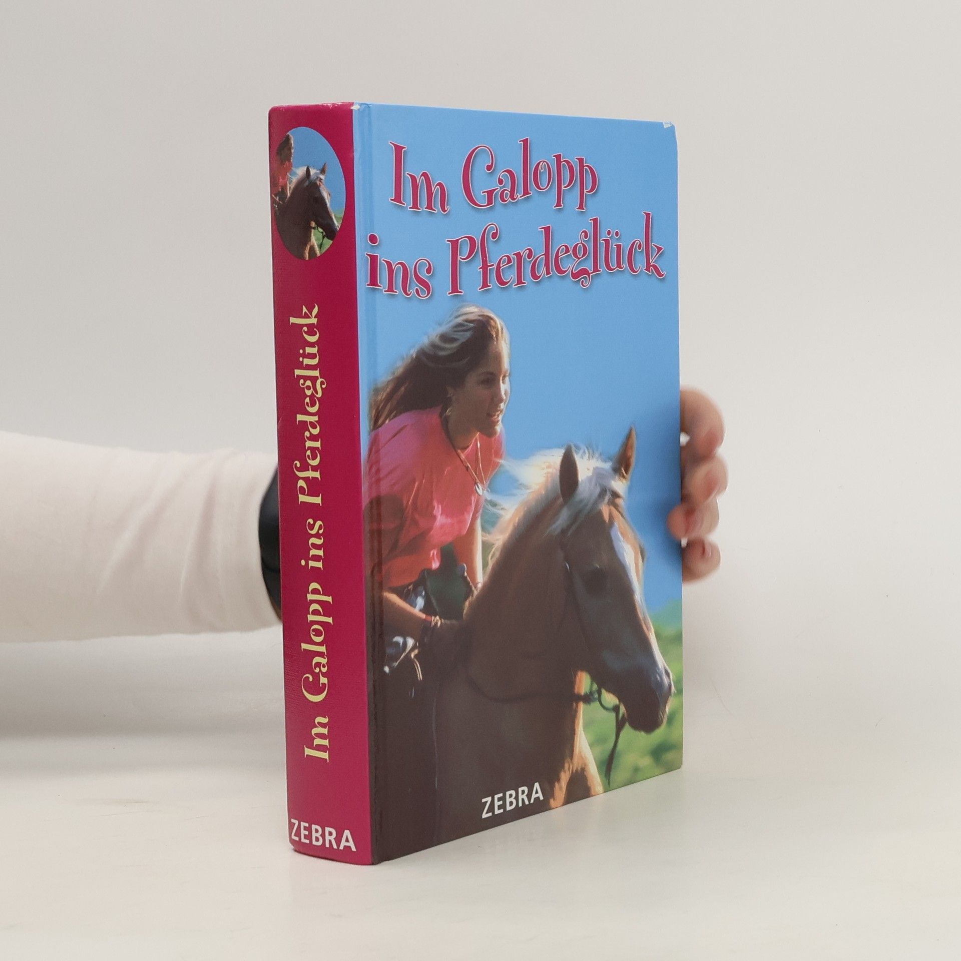 Anita Schorn Im Galopp ins Pferdeglück