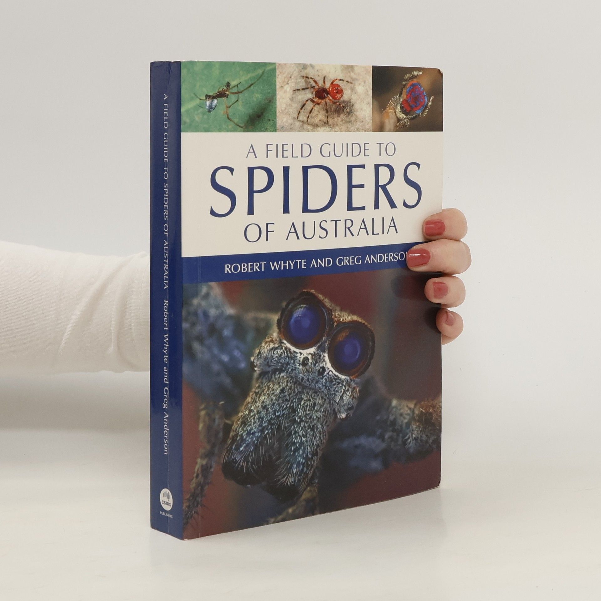 Robert Whyte A Field Guide to Spiders of Australia