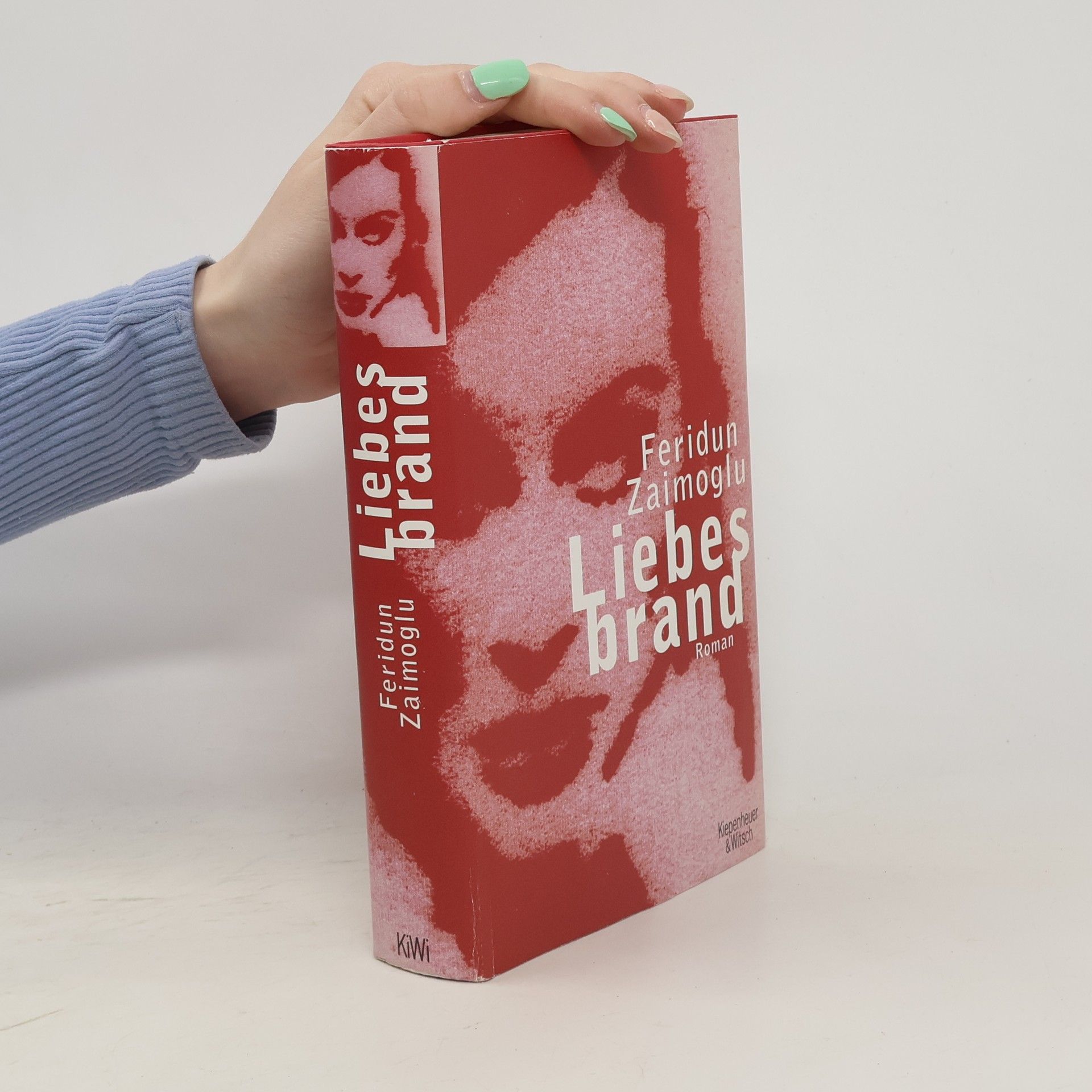Feridun Zaimoğlu Liebesbrand