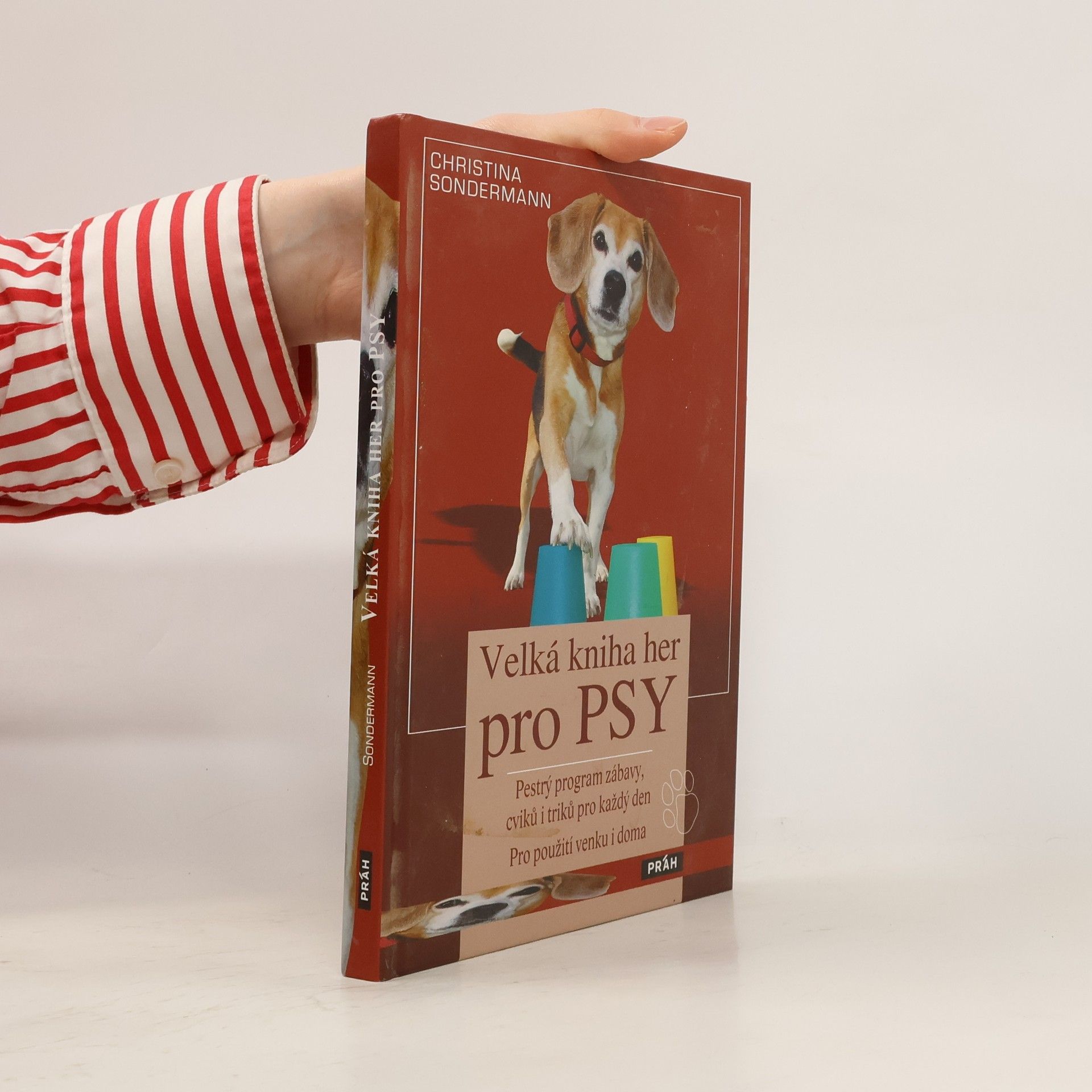 Christina Sondermann Velká kniha her pro psy: Pestrý program zábavy, cviků i triků pro každý den