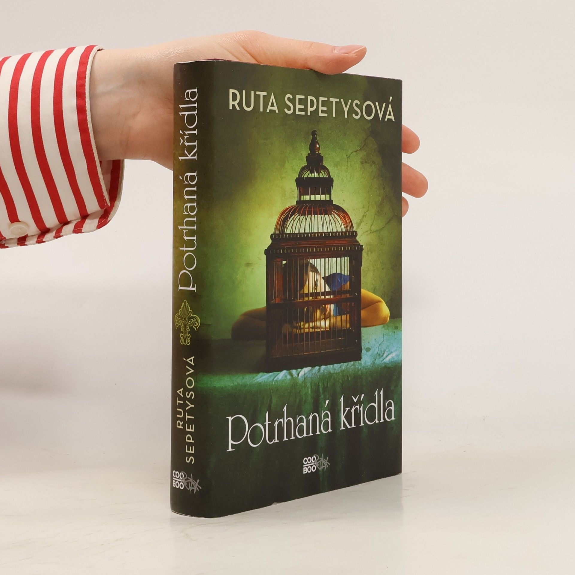 Ruta Sepetys Potrhaná křídla