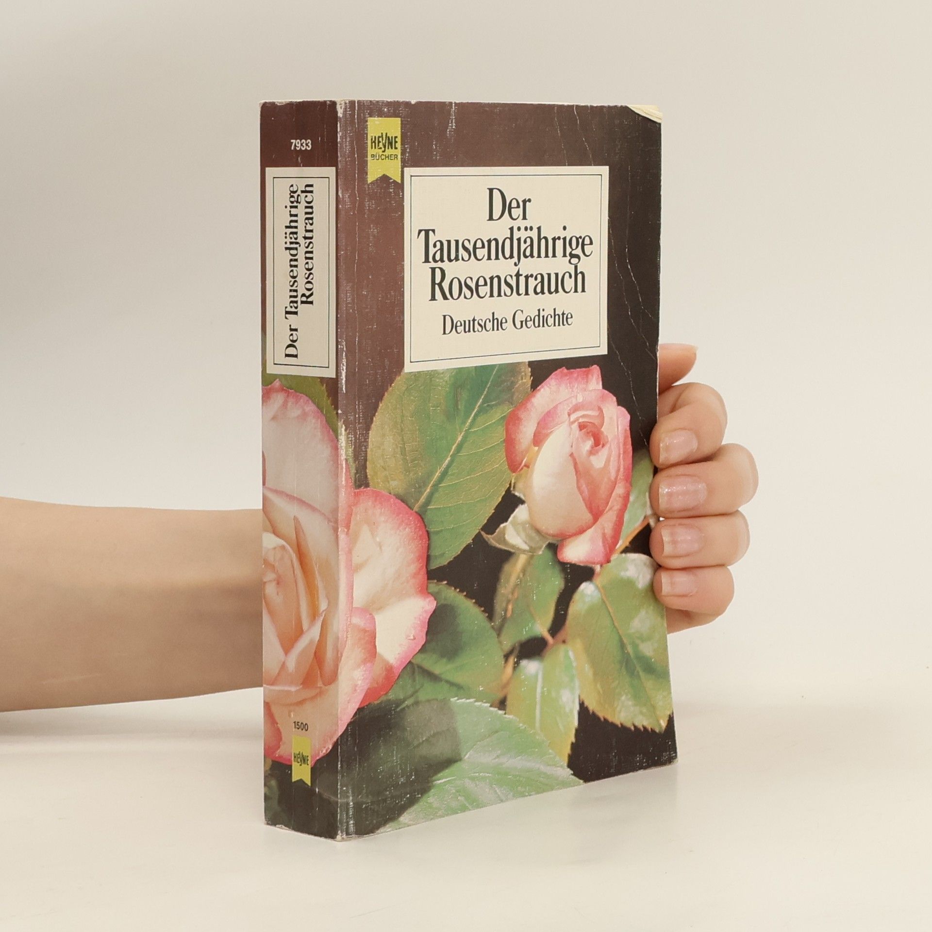 Felix Braun Der tausendjährige Rosenstrauch