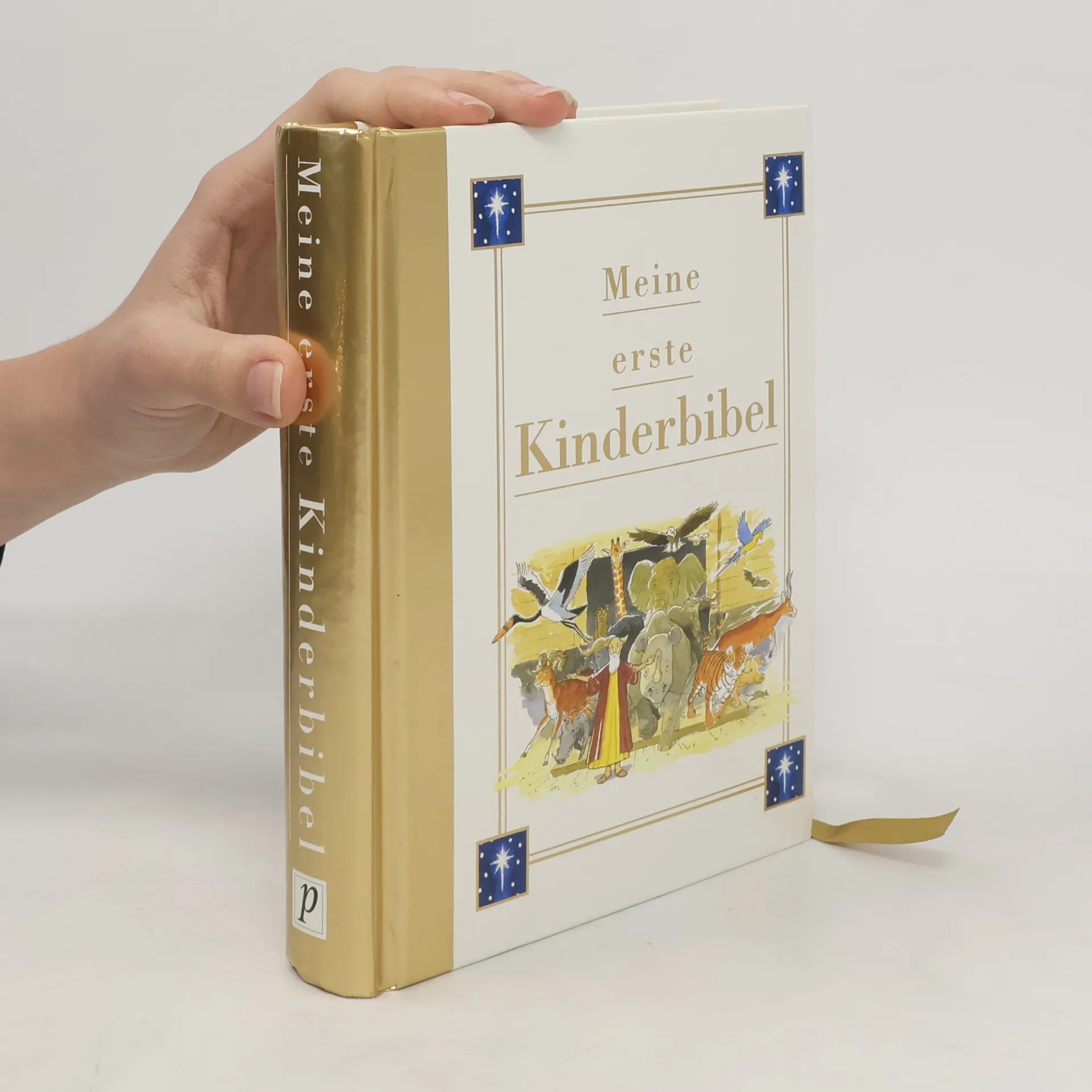 Meine erste Kinderbibel | Buch | Hardcover | kolektiv