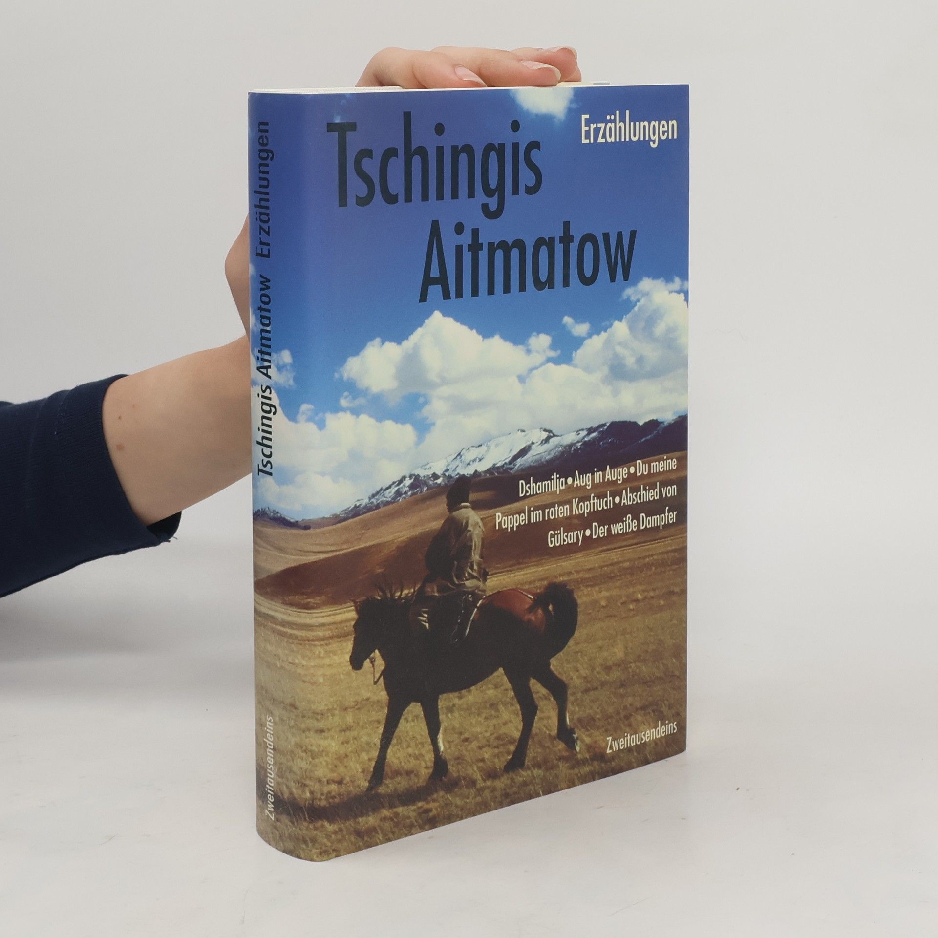 Tschingis Aitmatow Erzählungen