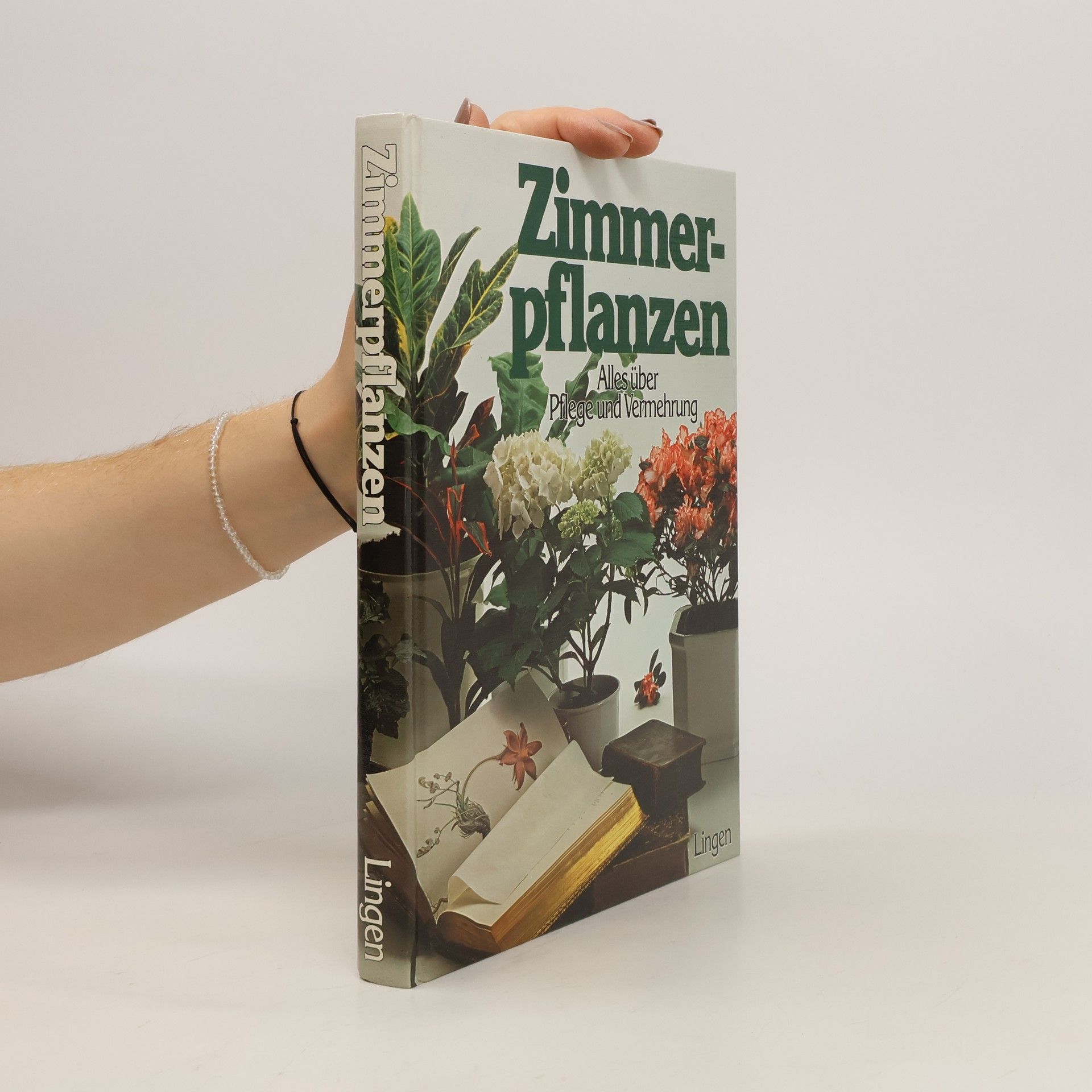 Autorenkollektiv Zimmer-pflanzen