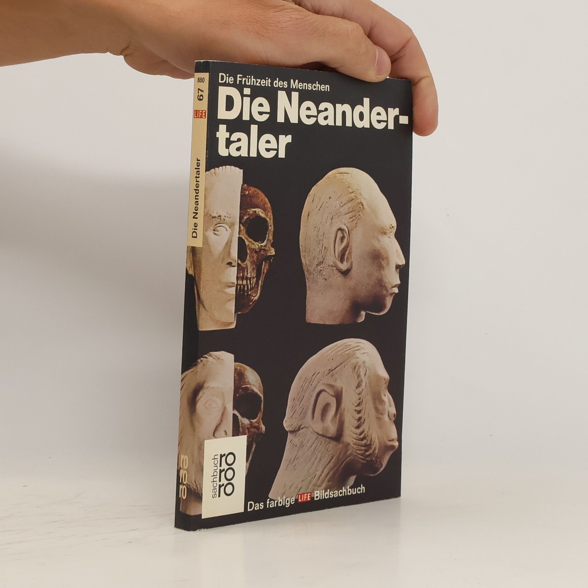 George Constable Die Neandertaler