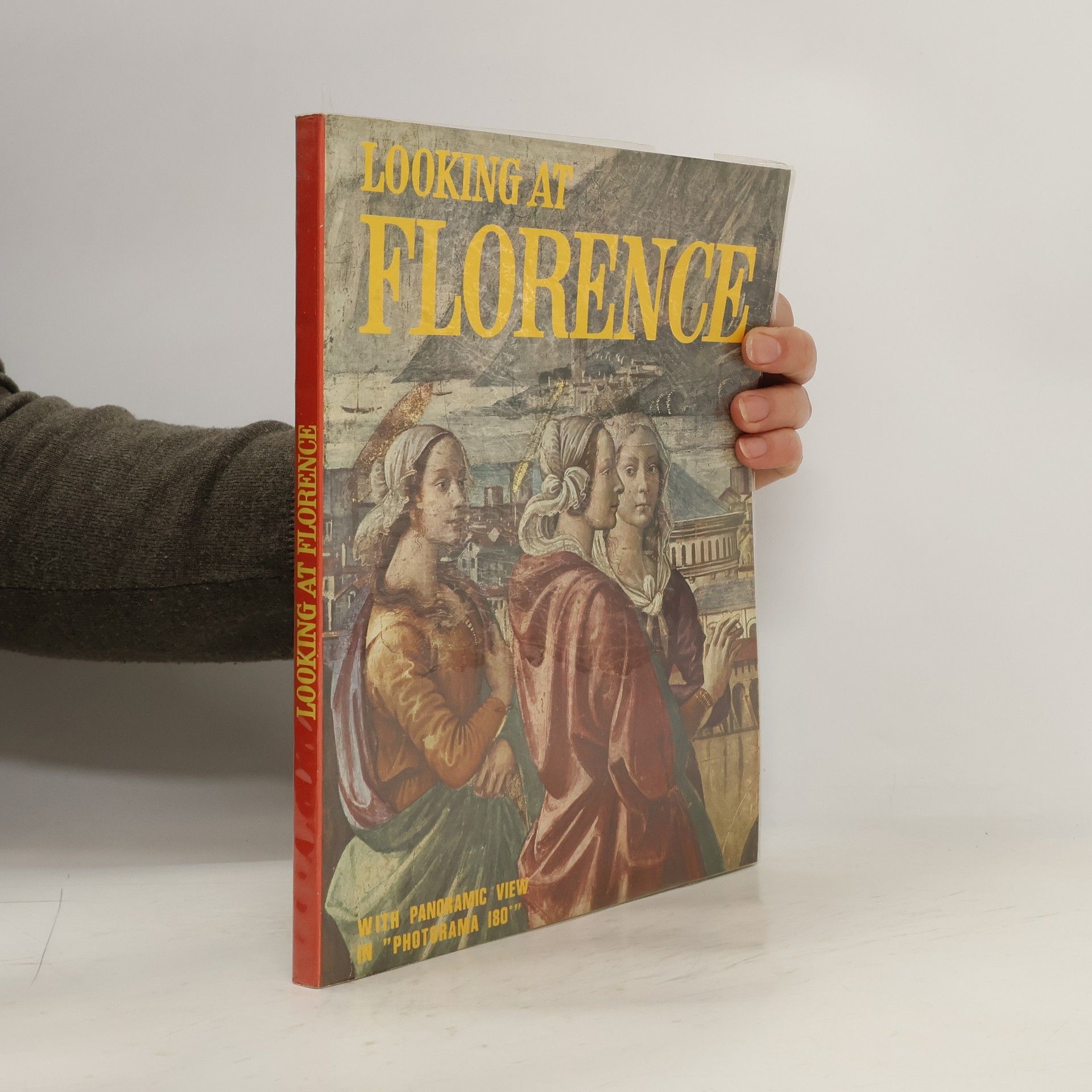 Rolando Fusi Looking at Florence