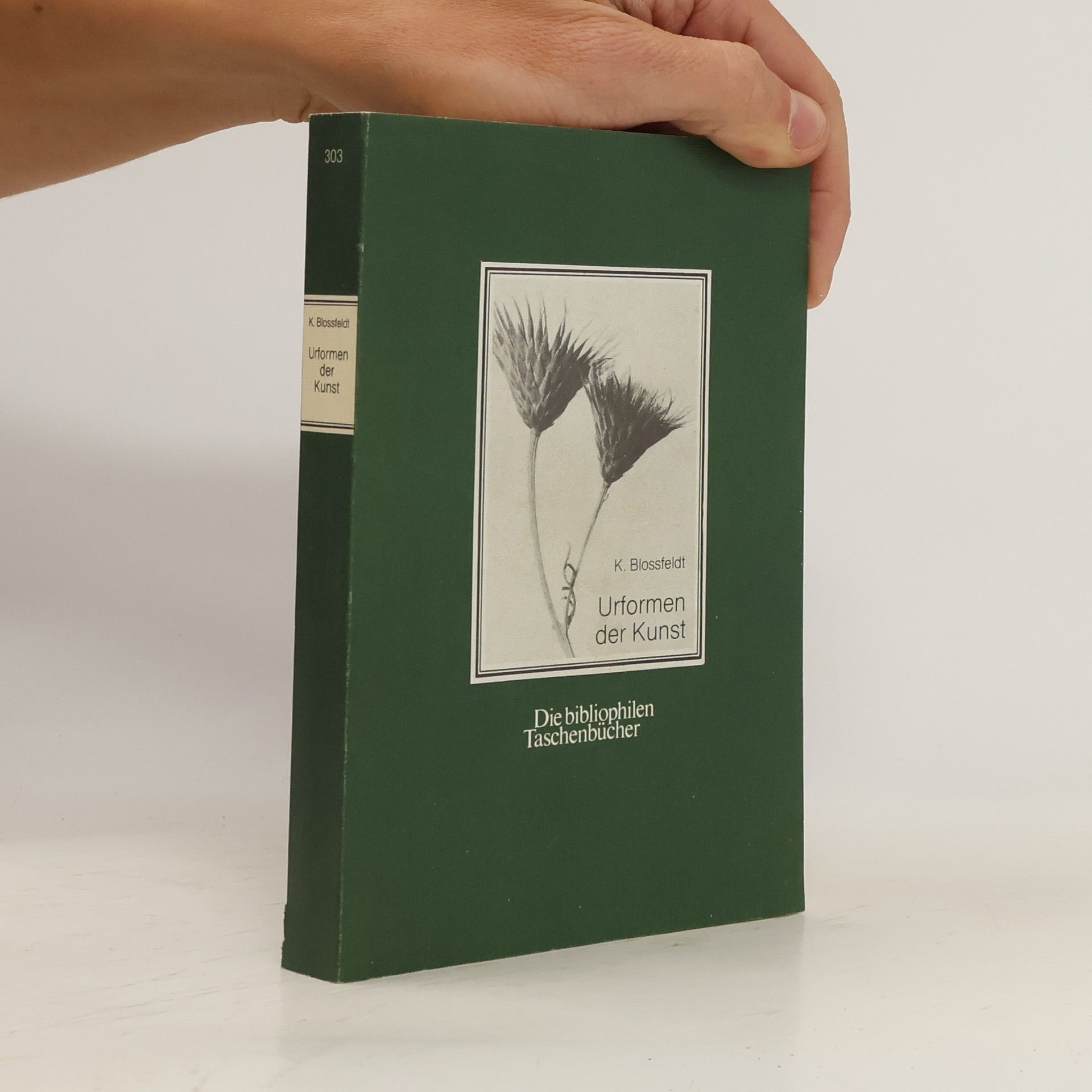 Karl Blossfeldt Urformen der Kunst