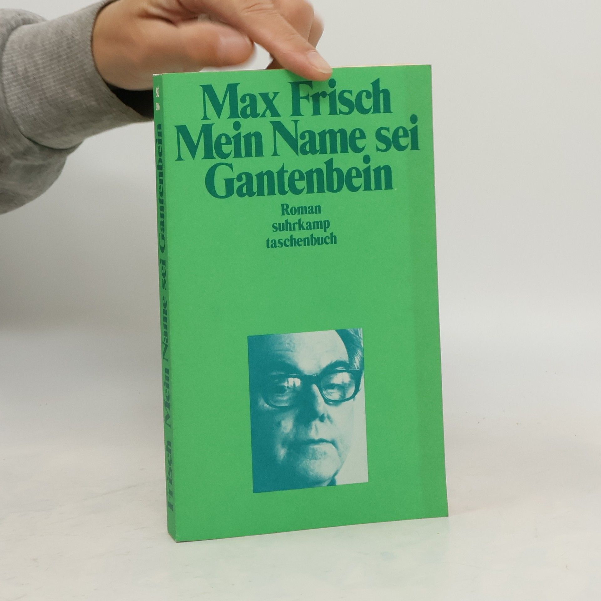 Max Frisch Mein Name sei Gantenbein