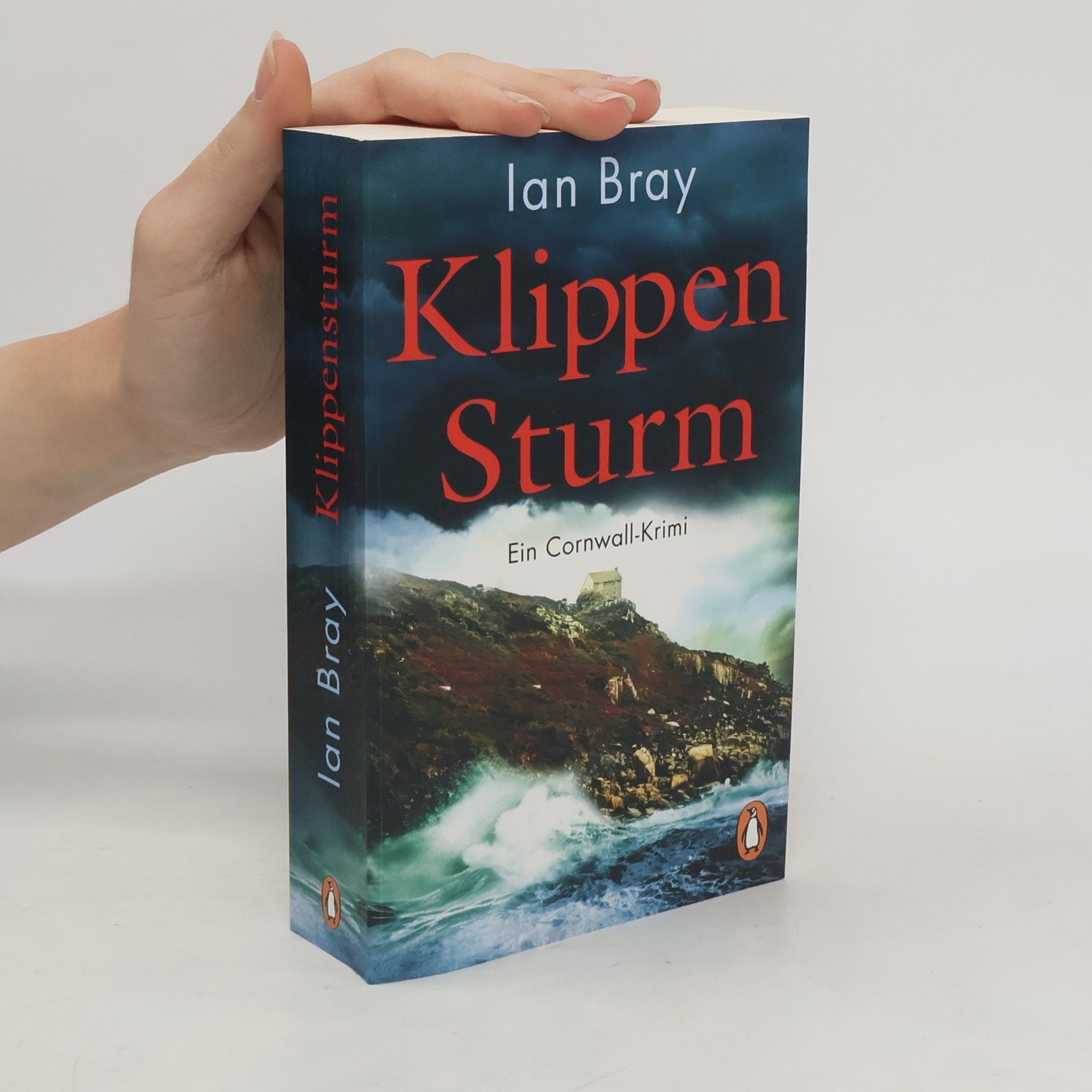Ian Bray Klippensturm
