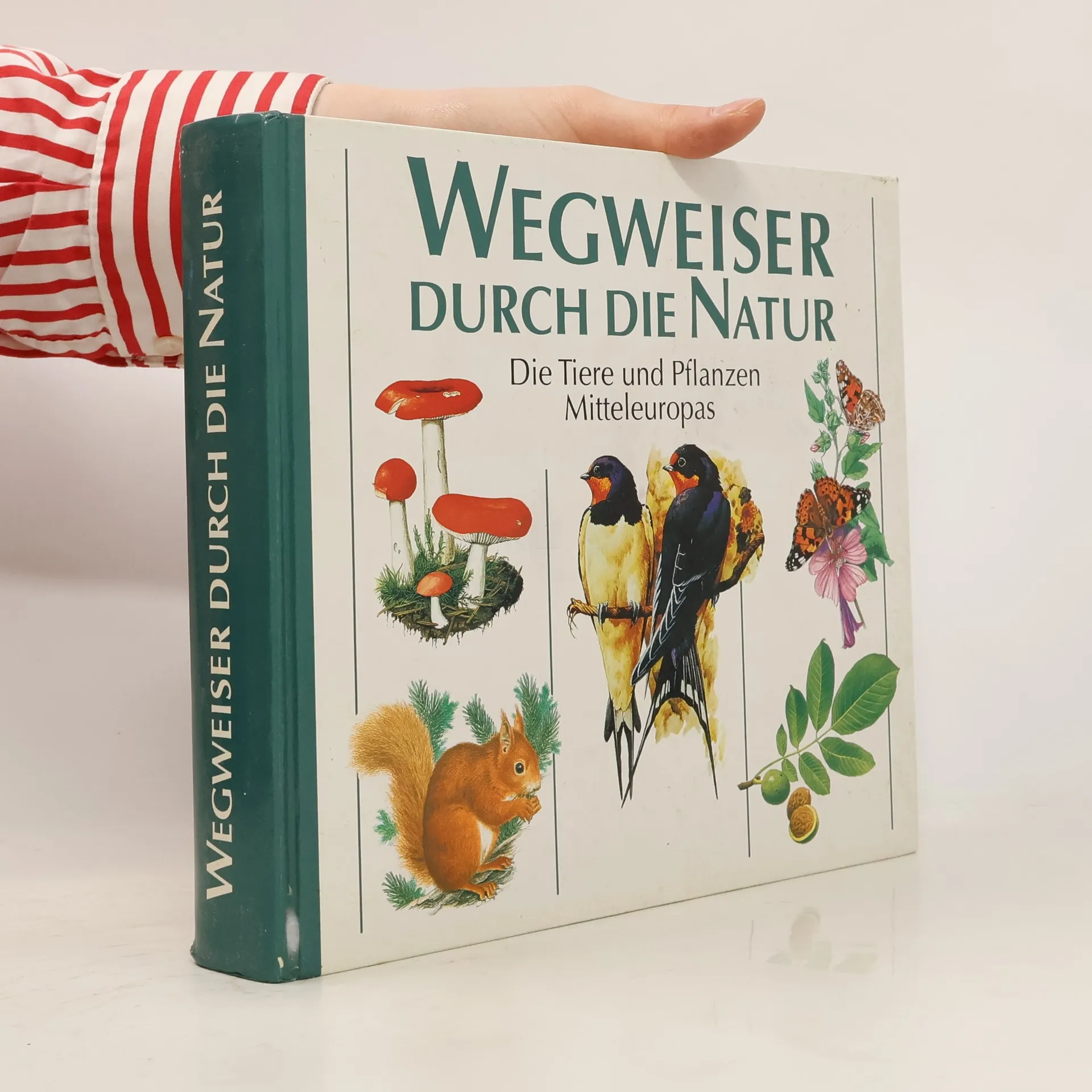 Wegweiser durch die Natur | Buch