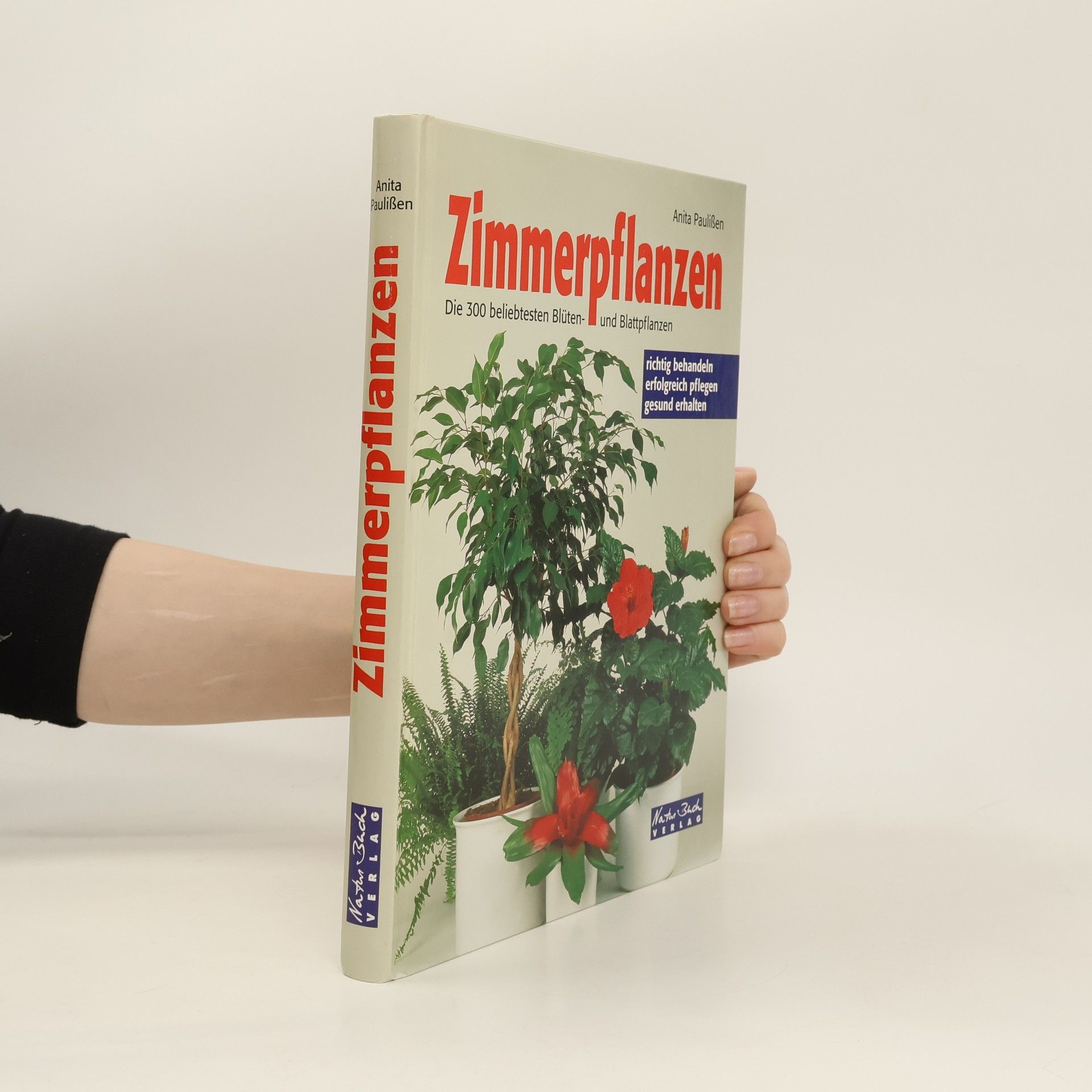 Anita Paulißen Zimmerpflanzen