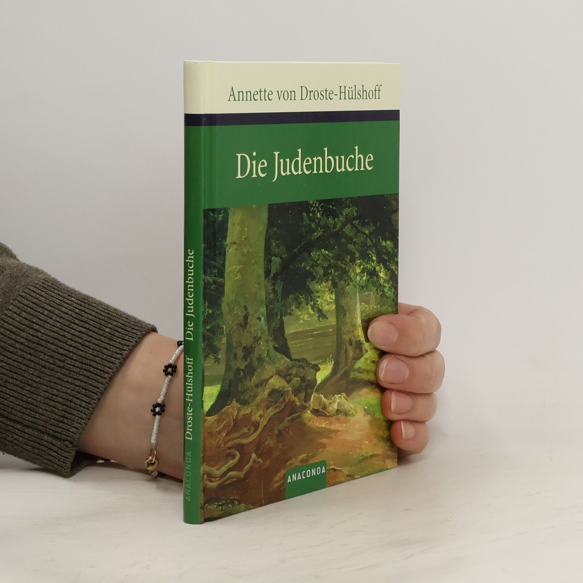 Annette von Droste-Hülshoff Die Judenbuche
