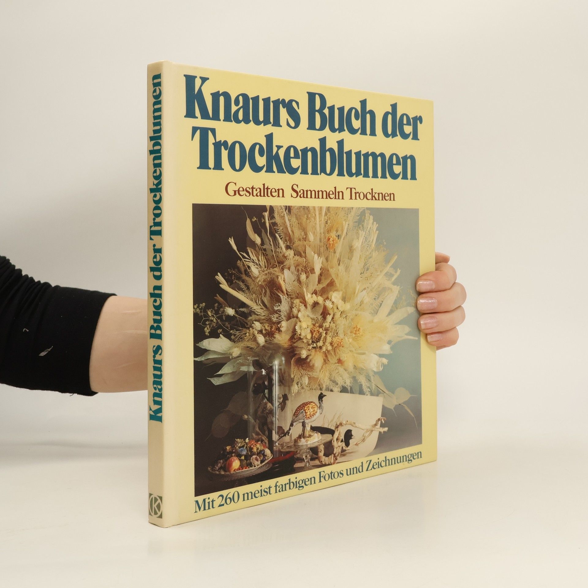 Toon Leemans Knaurs Buch der Trockenblumen