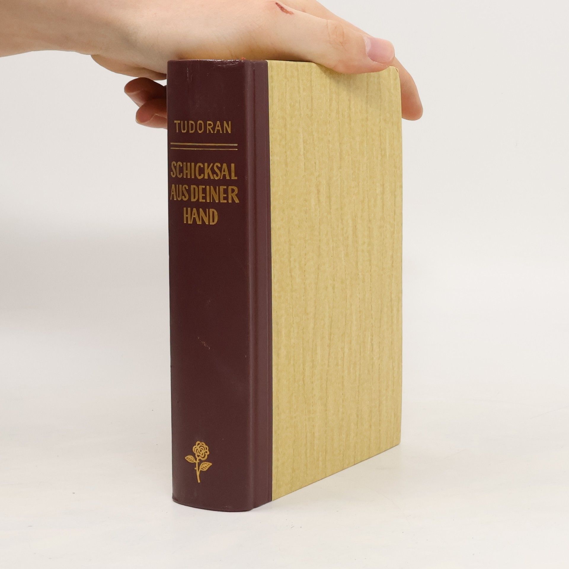 Radu Tudoran Schicksal aus deiner Hand