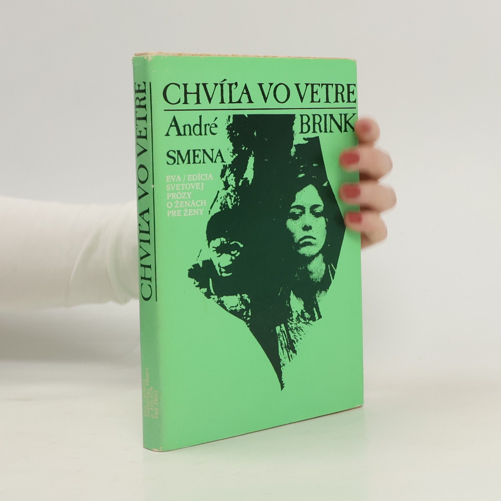 André P. Brink Chvíľa vo vetre