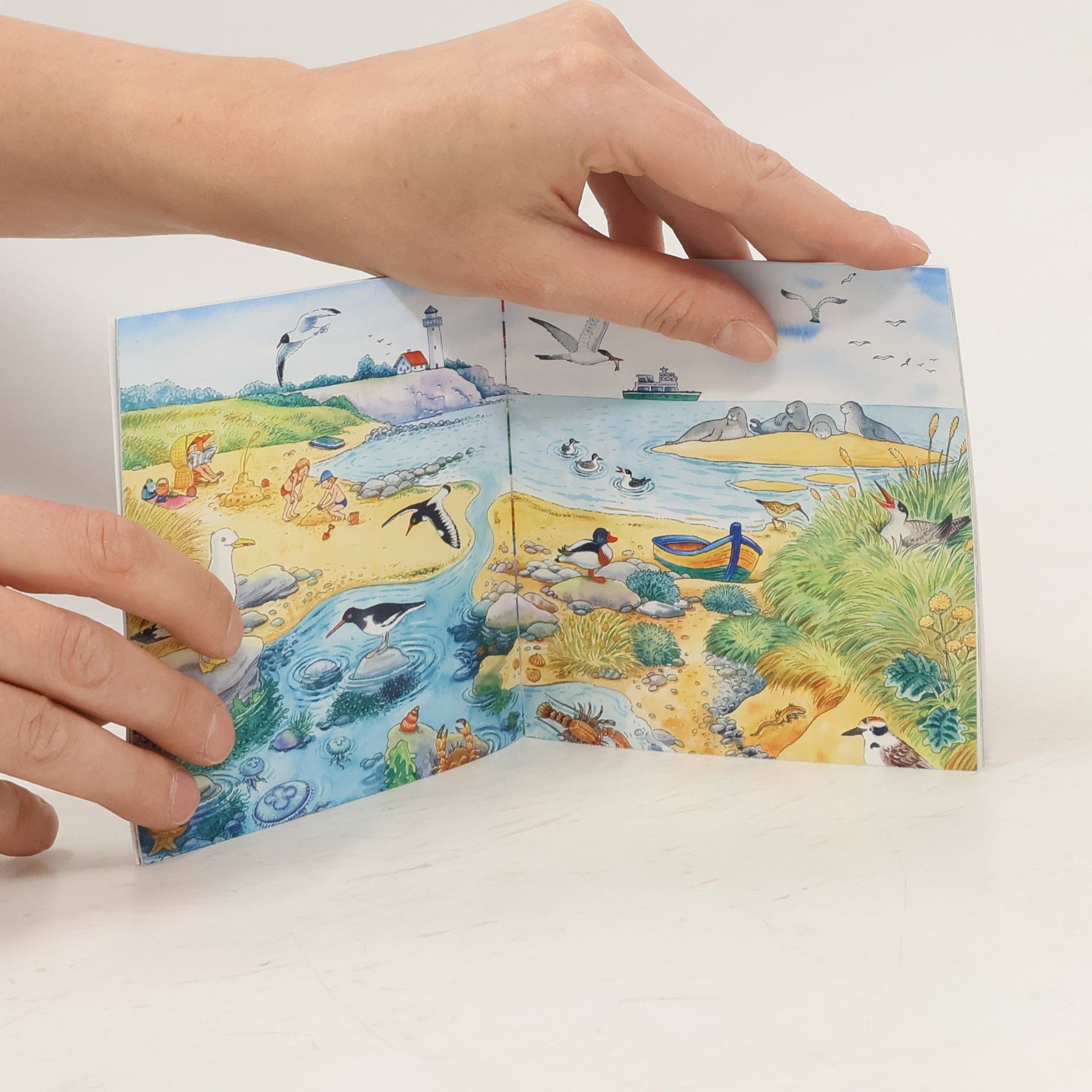 kolektiv Meine kleines Wimmelbuch Tiere