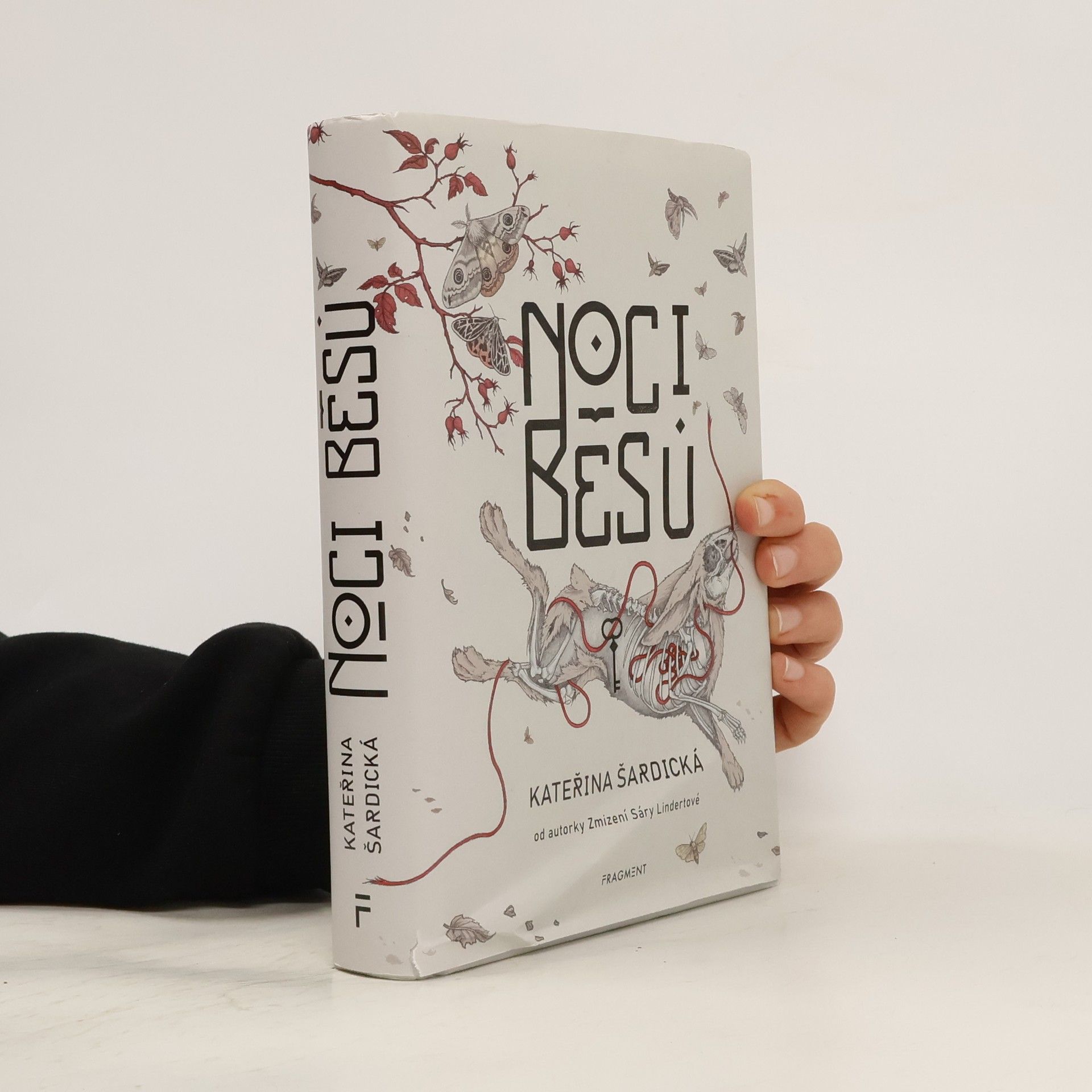 Kateřina Šardická Noci běsů