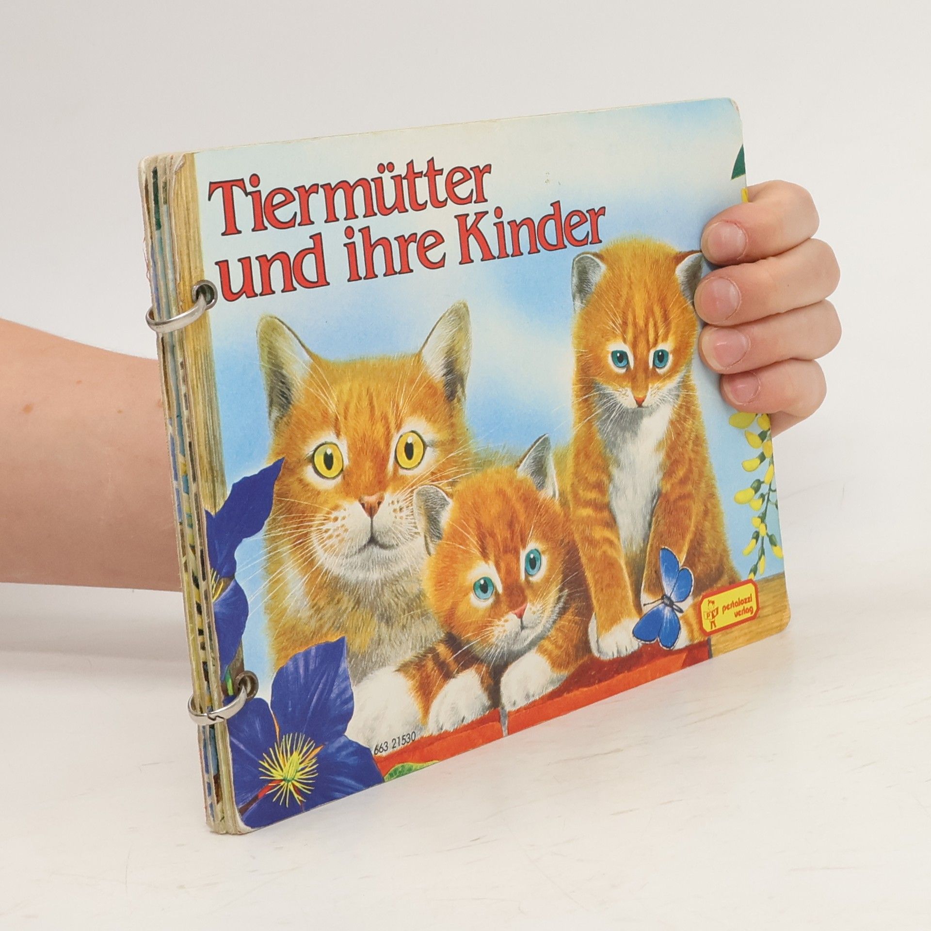 kolektiv Tiere auf dem Bauernhof