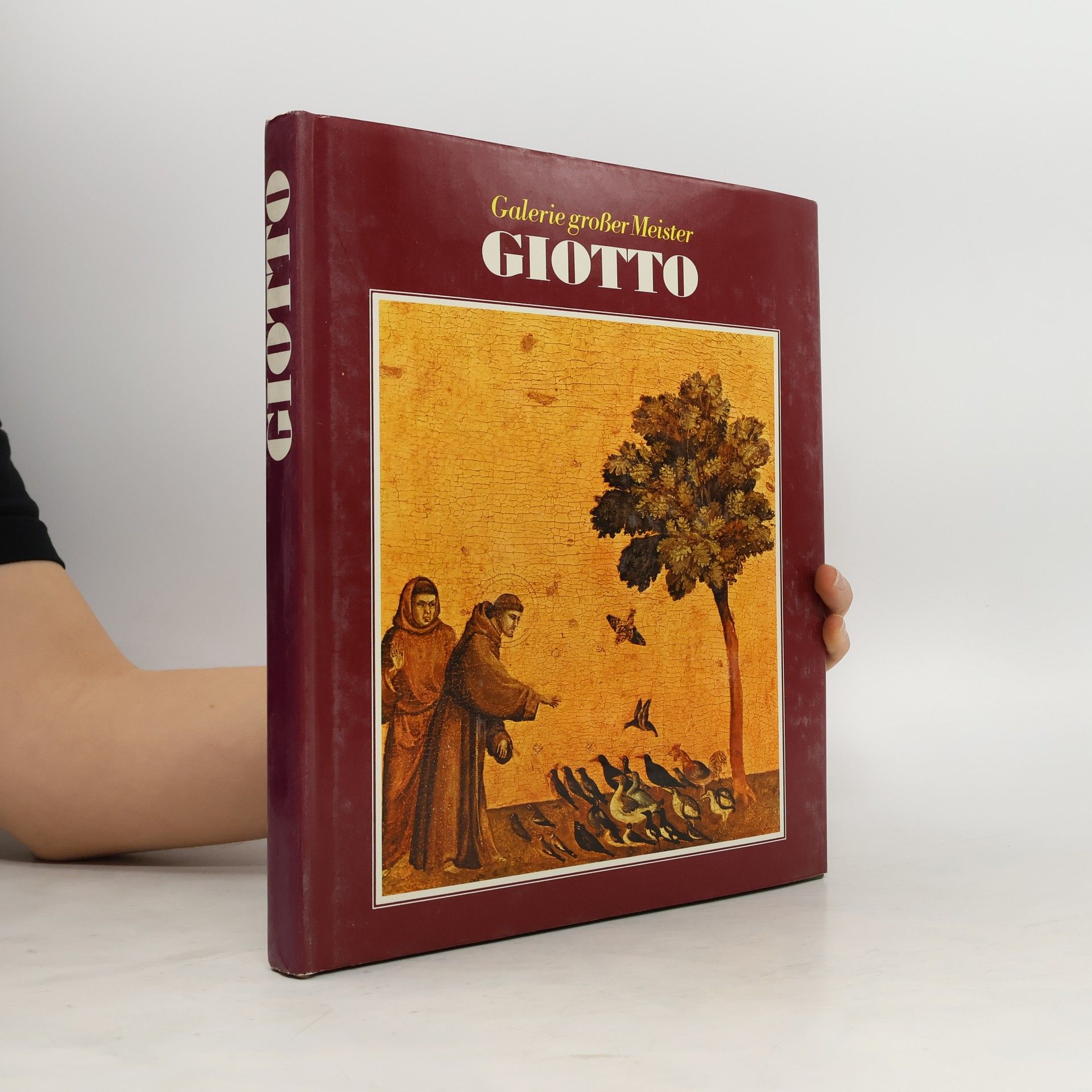 Collectif d'auteurs Galerie großer Meister. Giotto