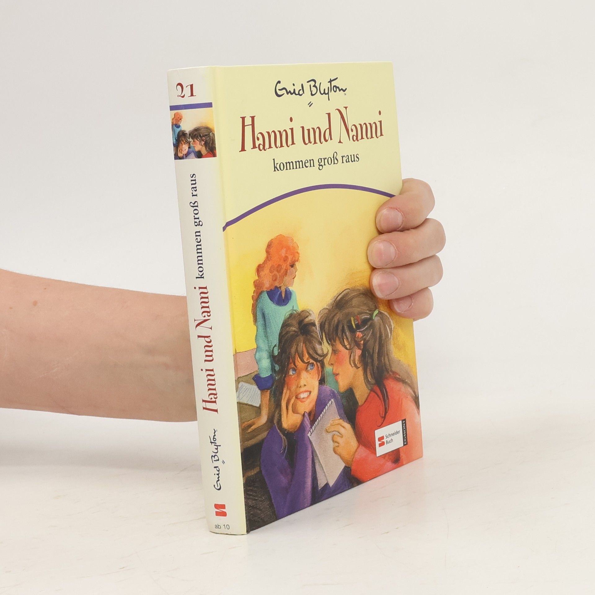 Enid Blyton Hanni und Nanni kommen groß raus