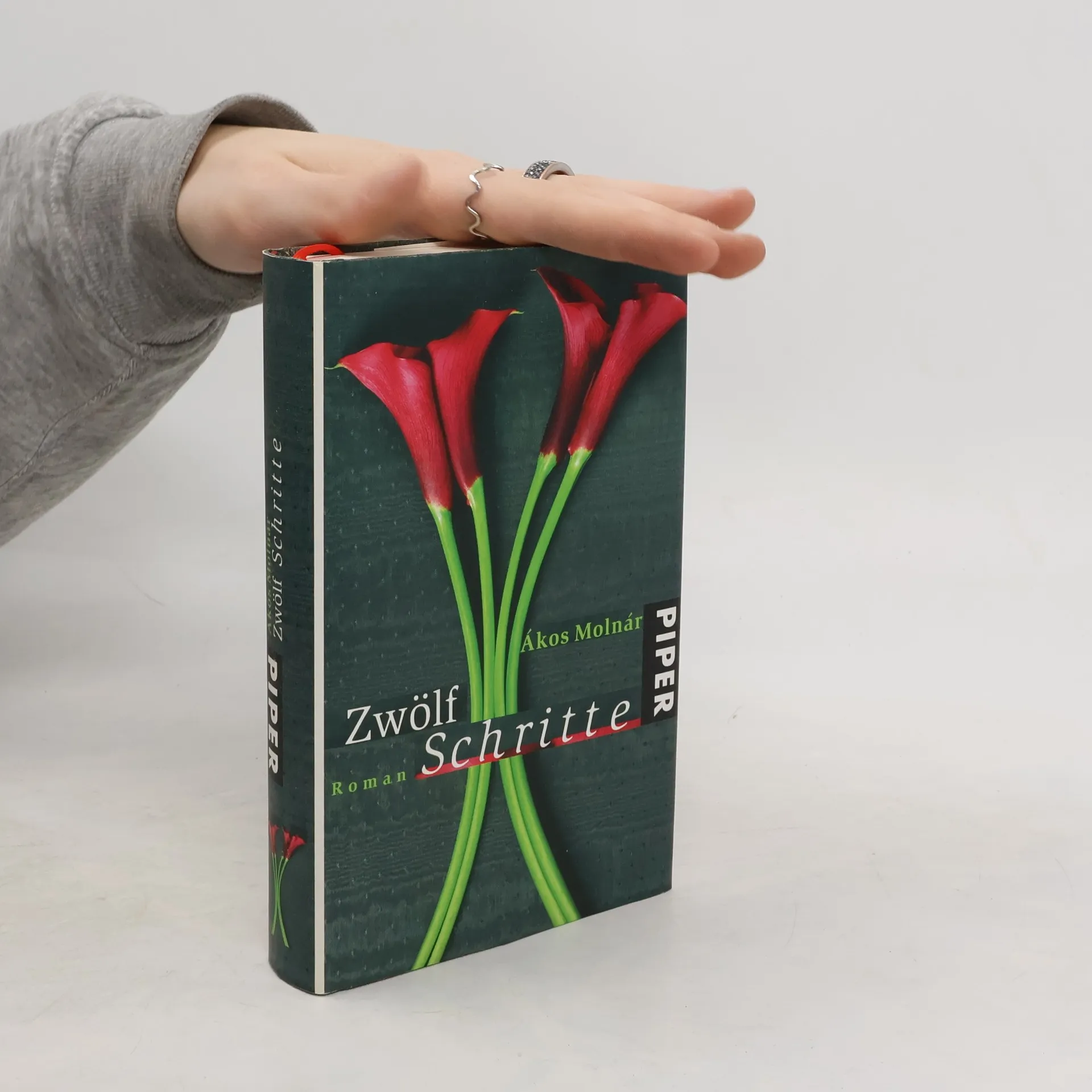 Zwölf Schritte | Book | Ákos Molnár | DE