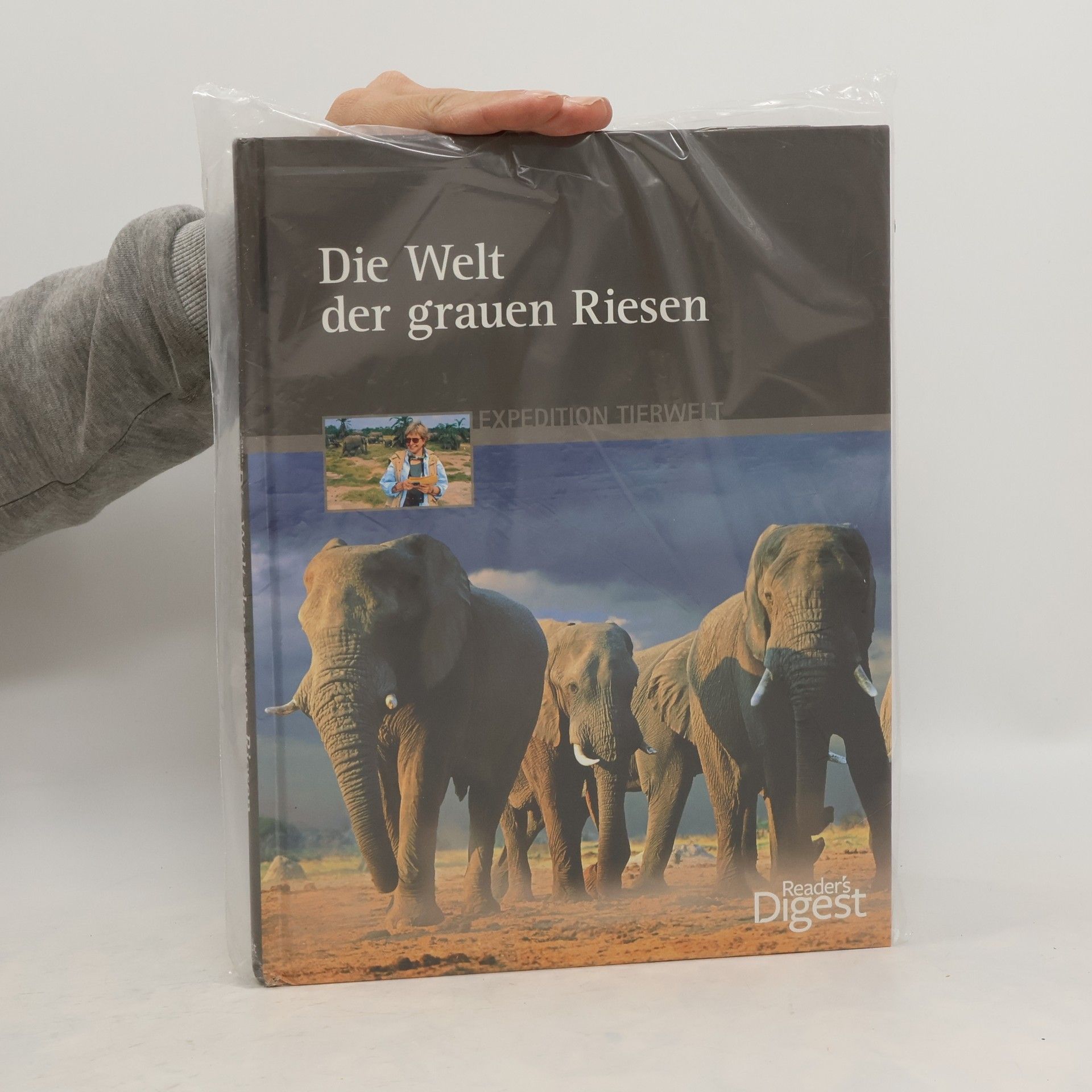 Kerstin Viering Die Welt der grauen Riesen