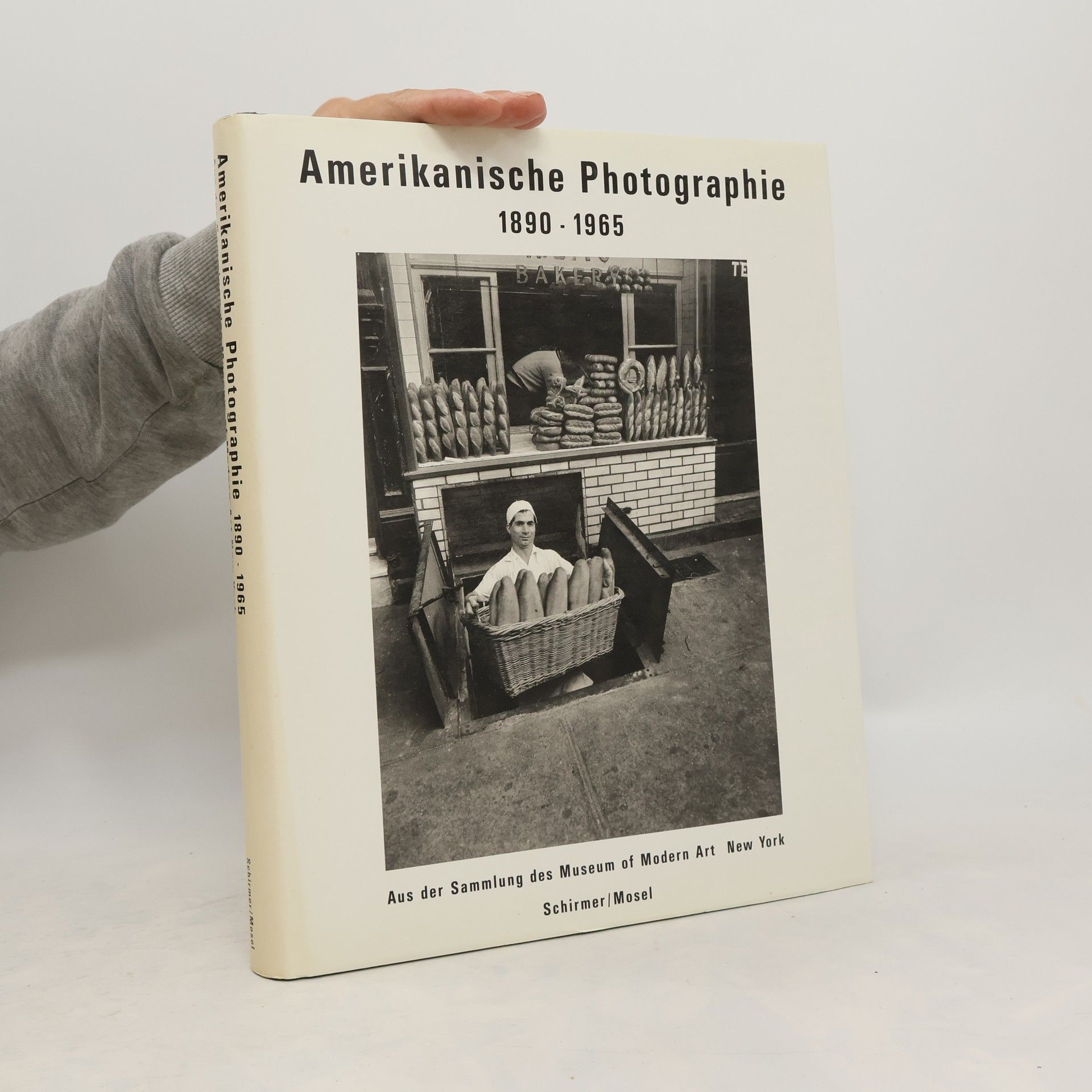 Peter Galassi Amerikanische Photographie