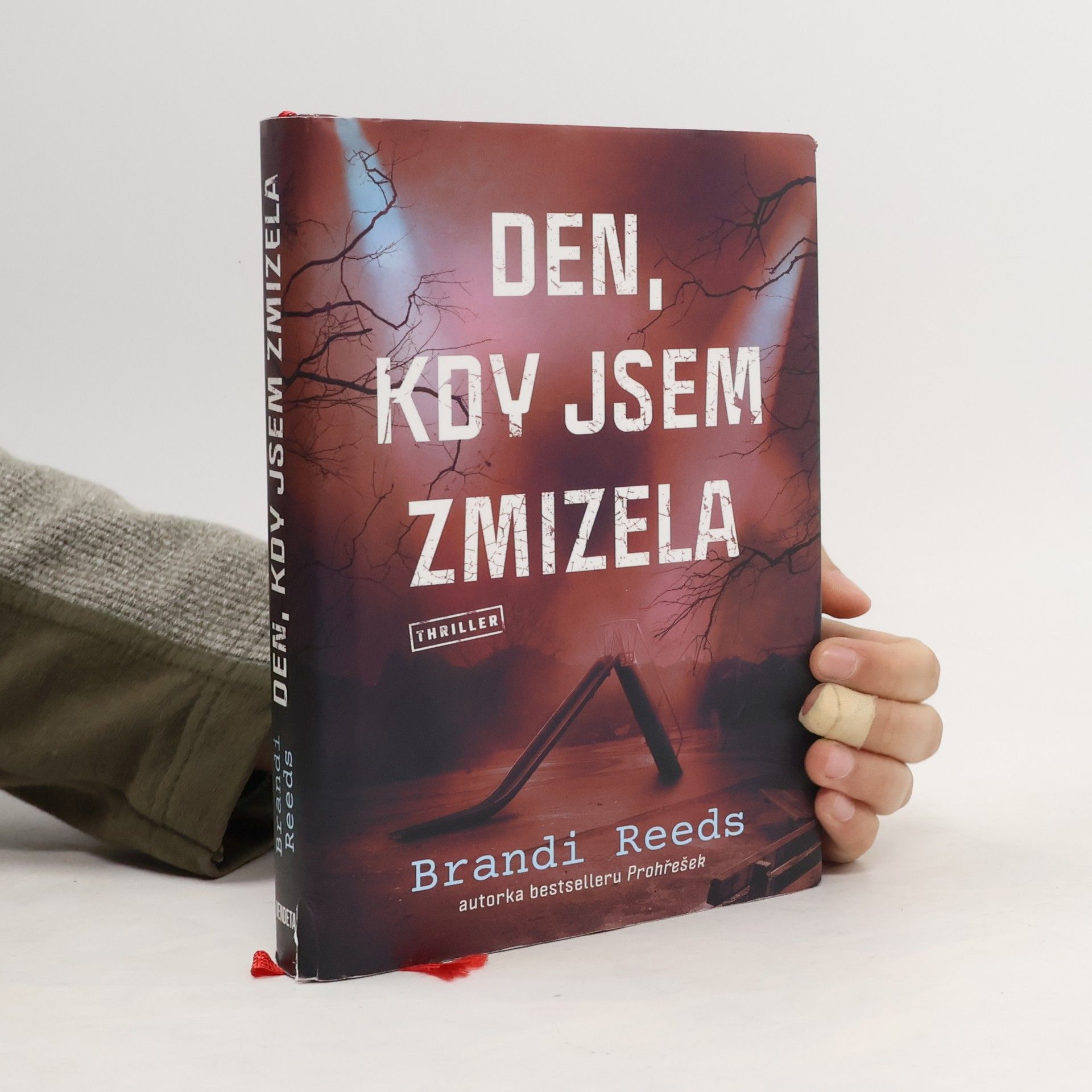 Brandi Reeds Den, kdy jsem zmizela