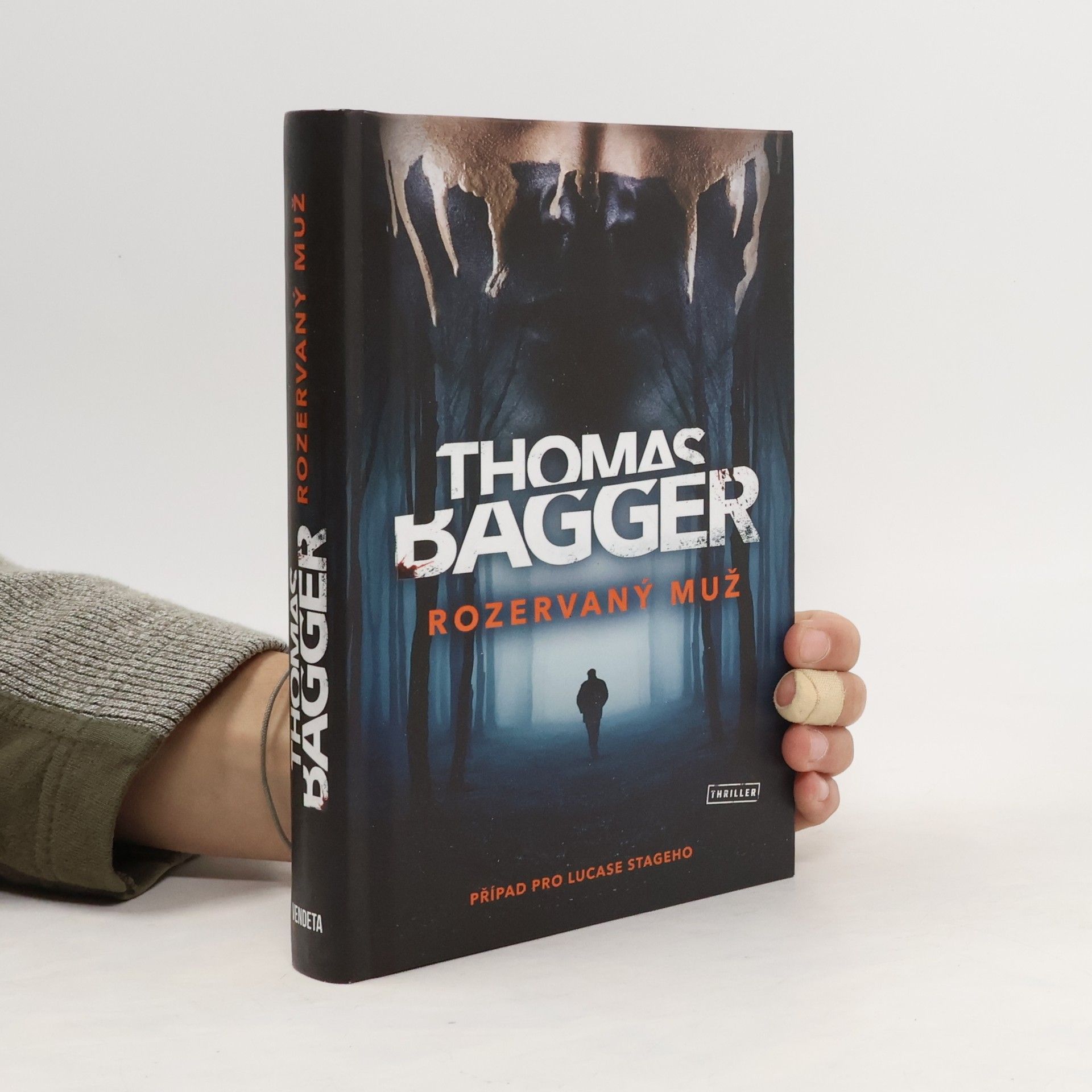 Thomas Bagger Rozervaný muž