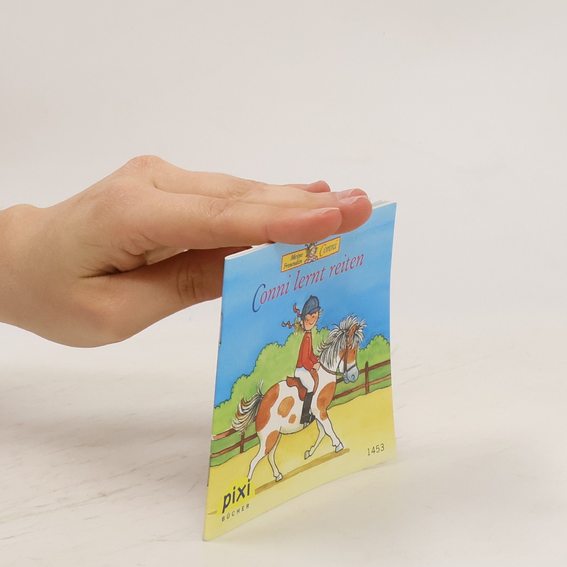 Autorenkollektiv Conni lernt reiten