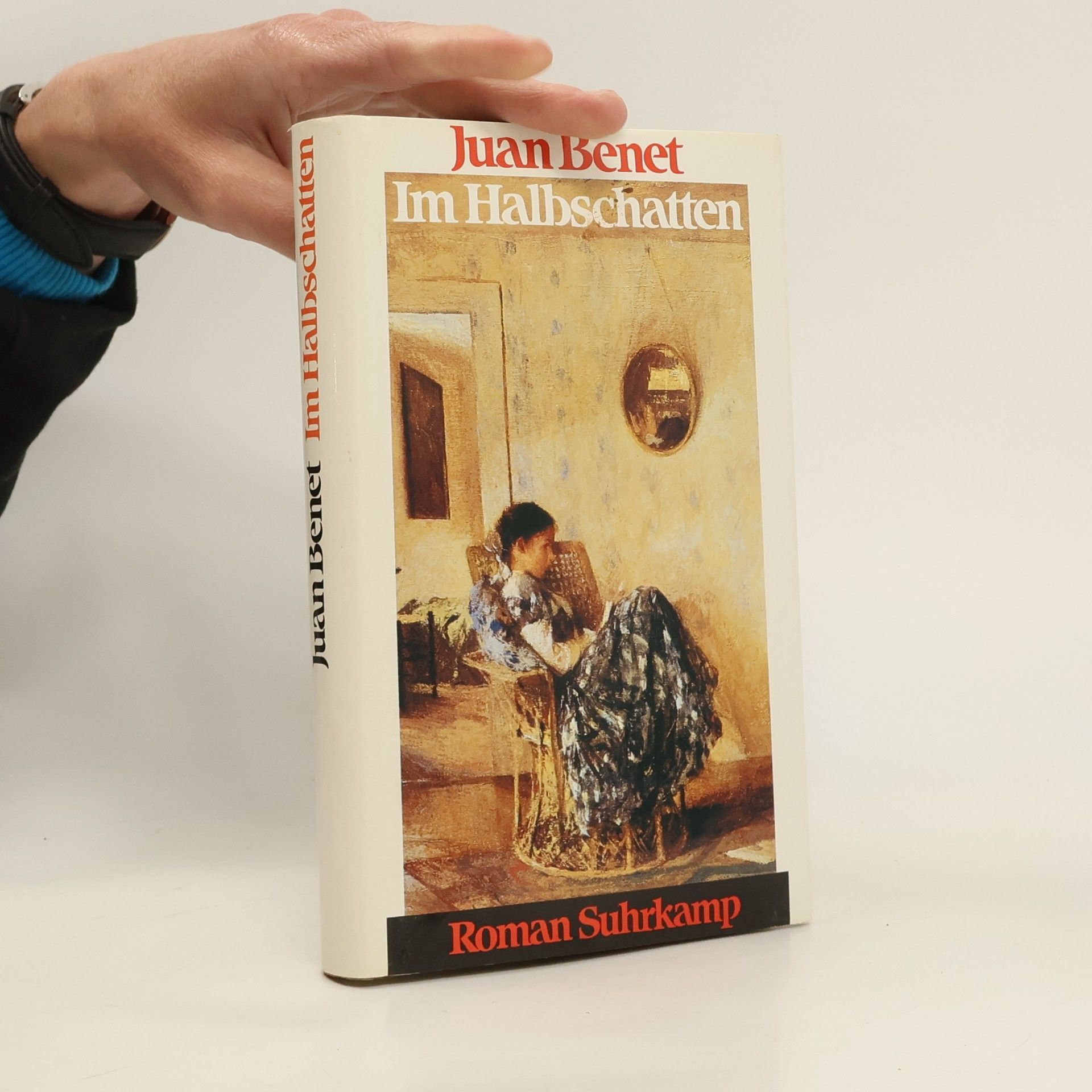 Juan Benet Im Halbschatten. Roman