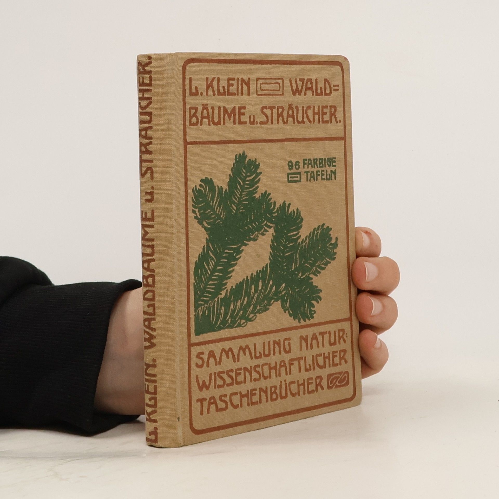 L. Klein Unsere Waldbäume, Sträucher und Zwergholzgewächse