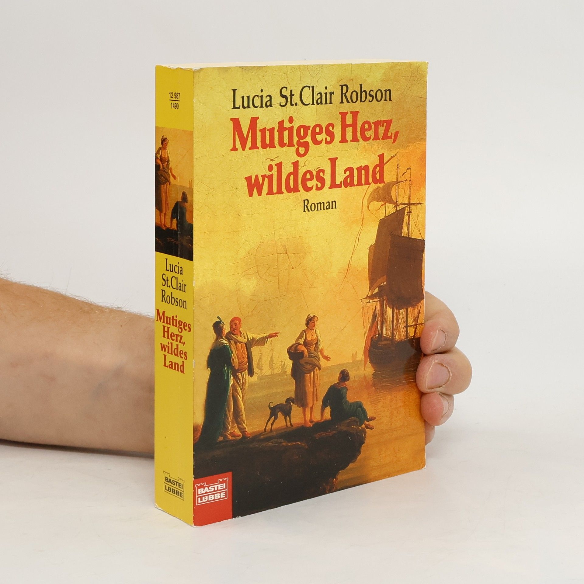 Lucia Saint Clair Robson Mutiges Herz, wildes Land