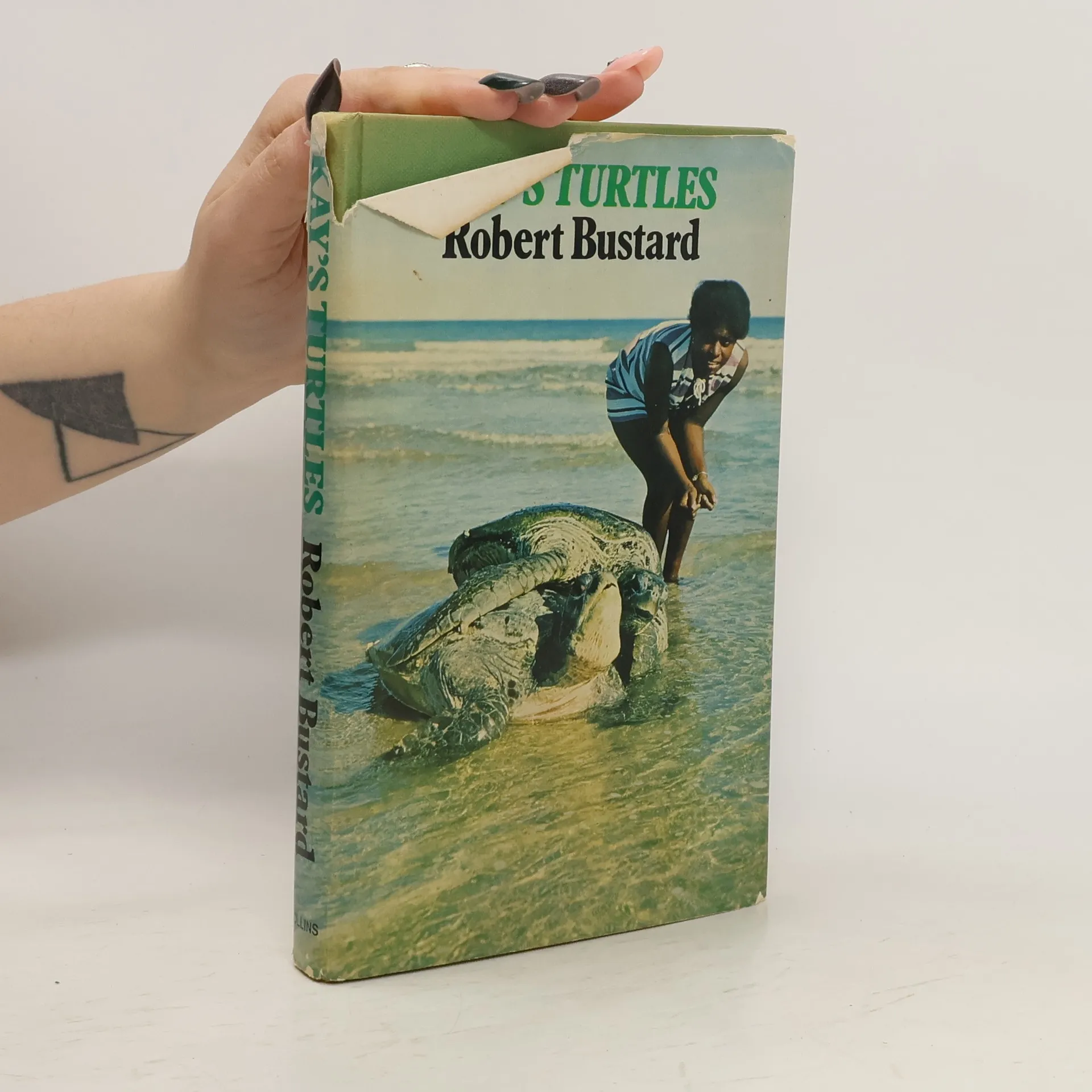 Kay's Turtles | Book | Hardcover | Robert Bustard | EN