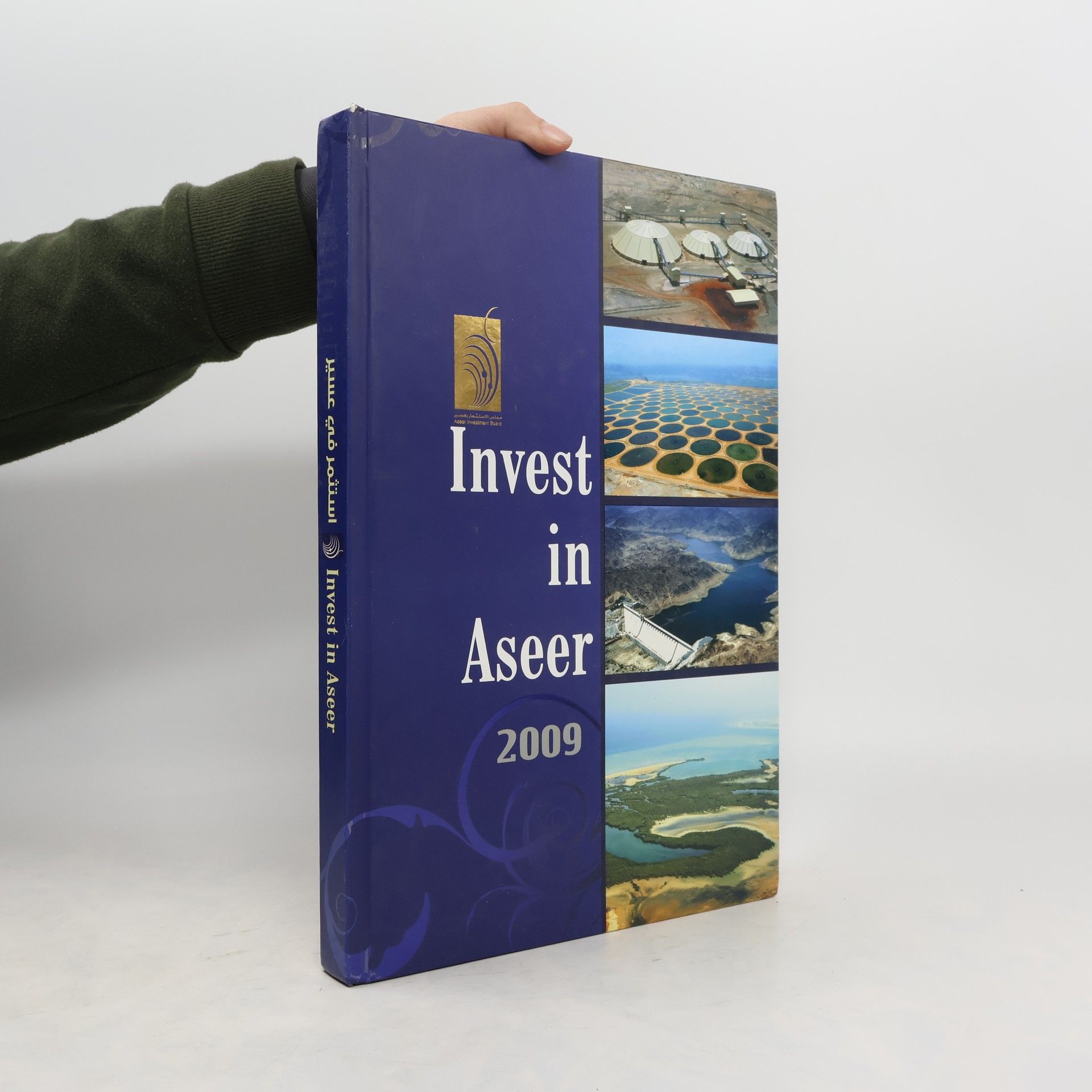Collectif d'auteurs Invest in Aseer 2009