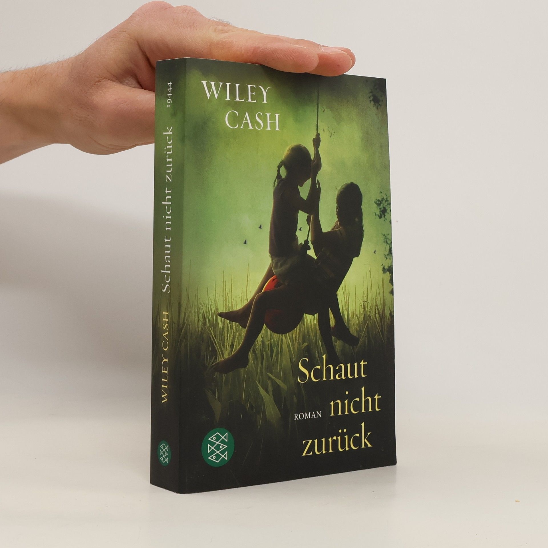 Wiley Cash Schaut nicht zurück