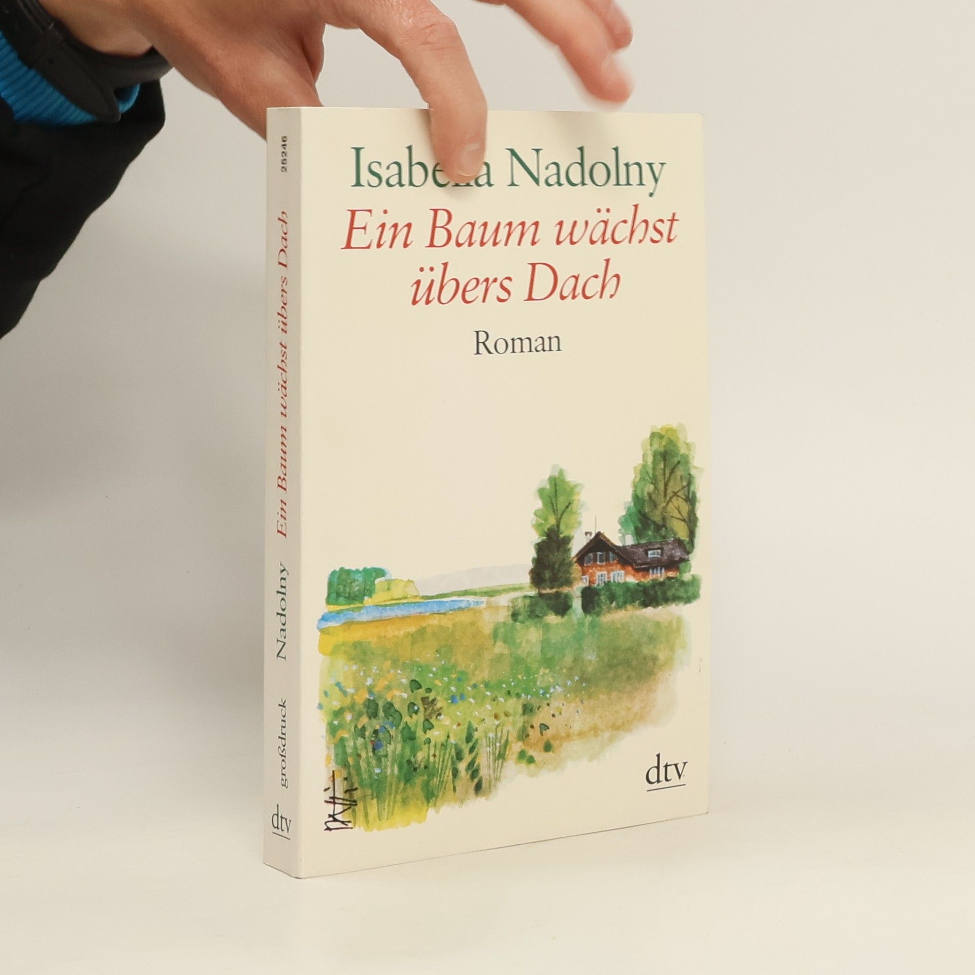 Isabella Nadolny Ein Baum wächst übers Dach