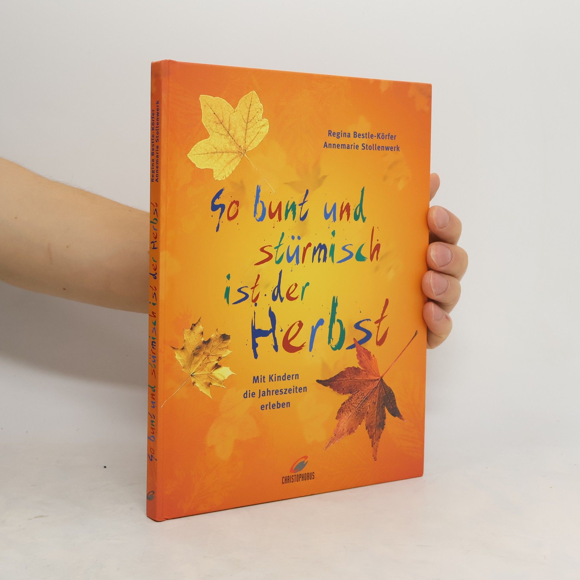 Regina Bestle-Körfer So bunt und stürmisch ist der Herbst