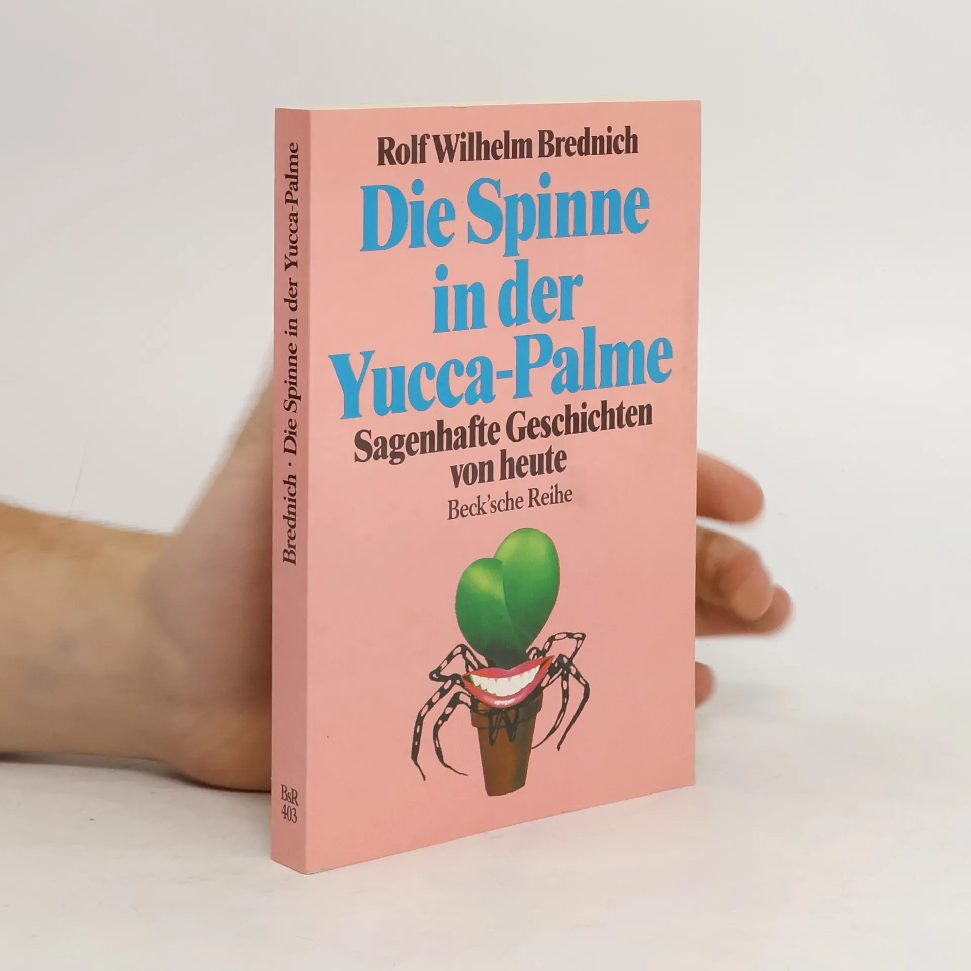Die Spinne in der Yucca-Palme | Buch | Rolf Wilhelm Brednich