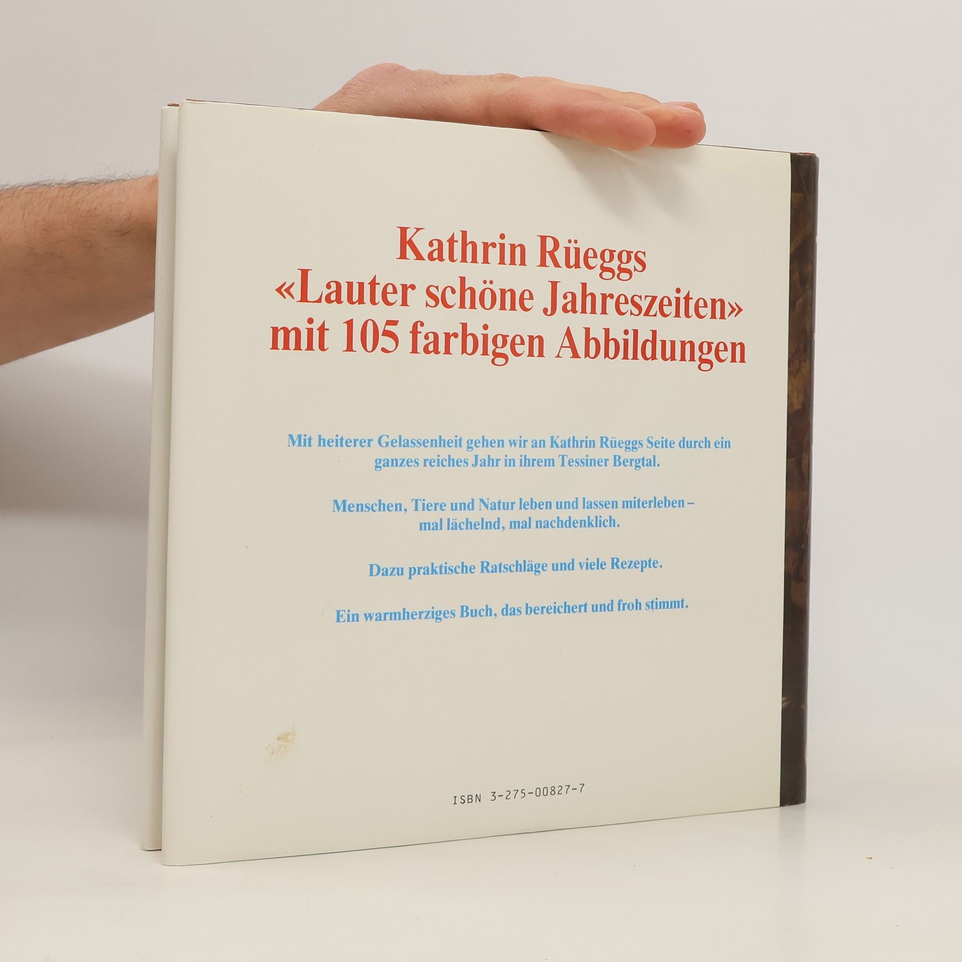 Kathrin Rüegg Lauter schöne Jahreszeiten