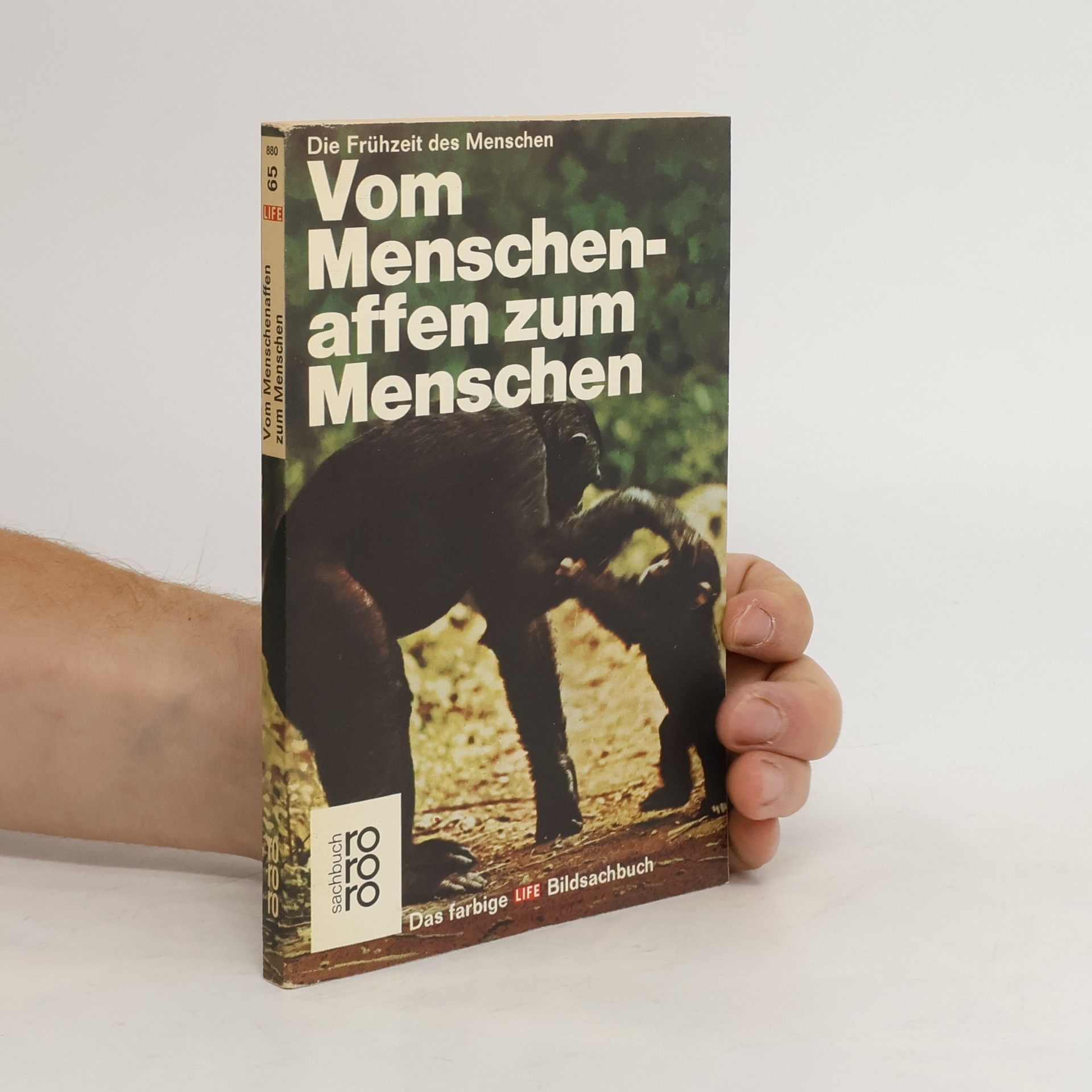 Maitland A. Edey Vom Menschenaffen zum Menschen