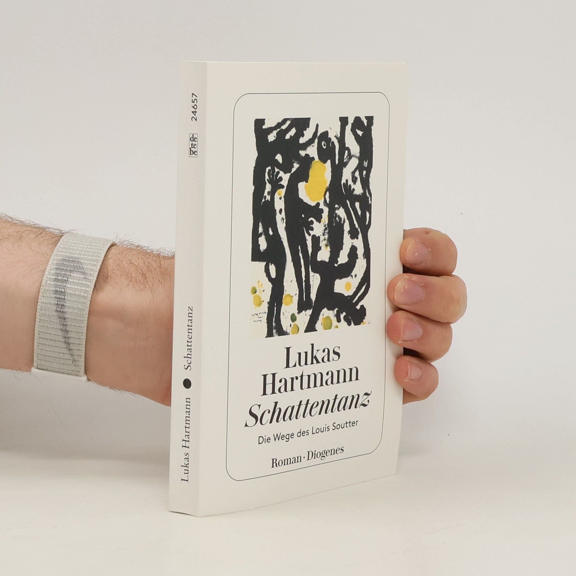 Lukas Hartmann Schattentanz