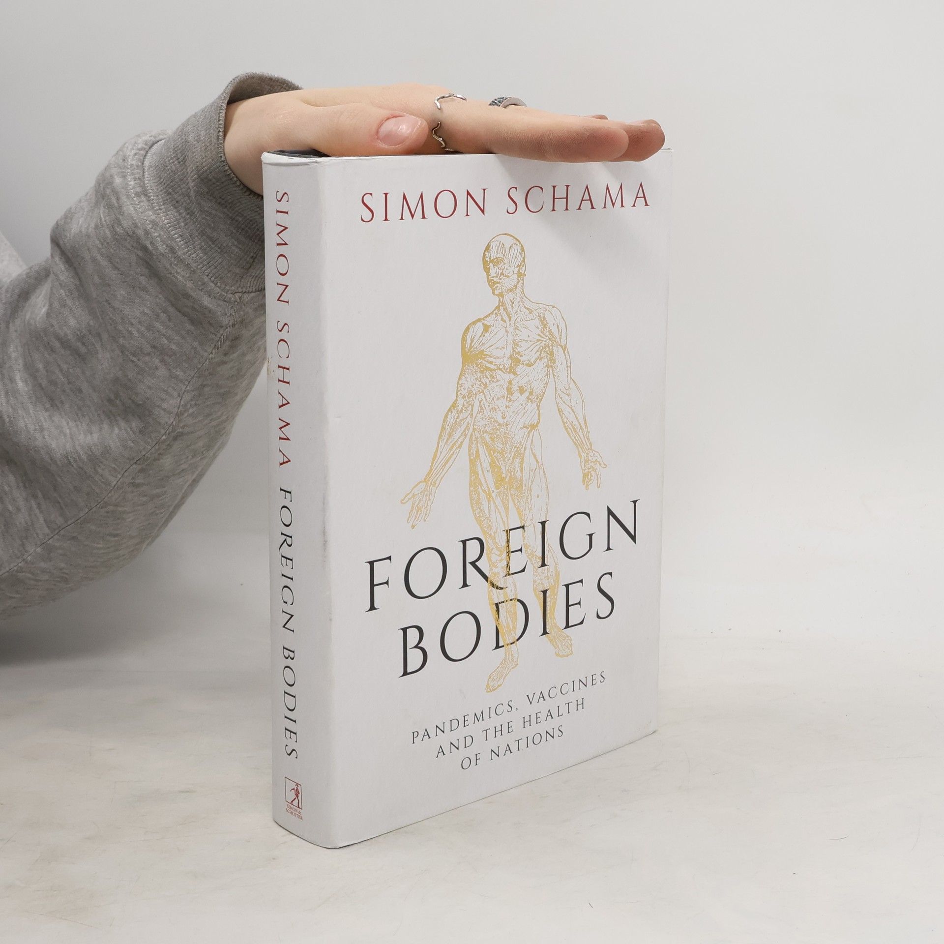 Simon Schama Foreign Bodies