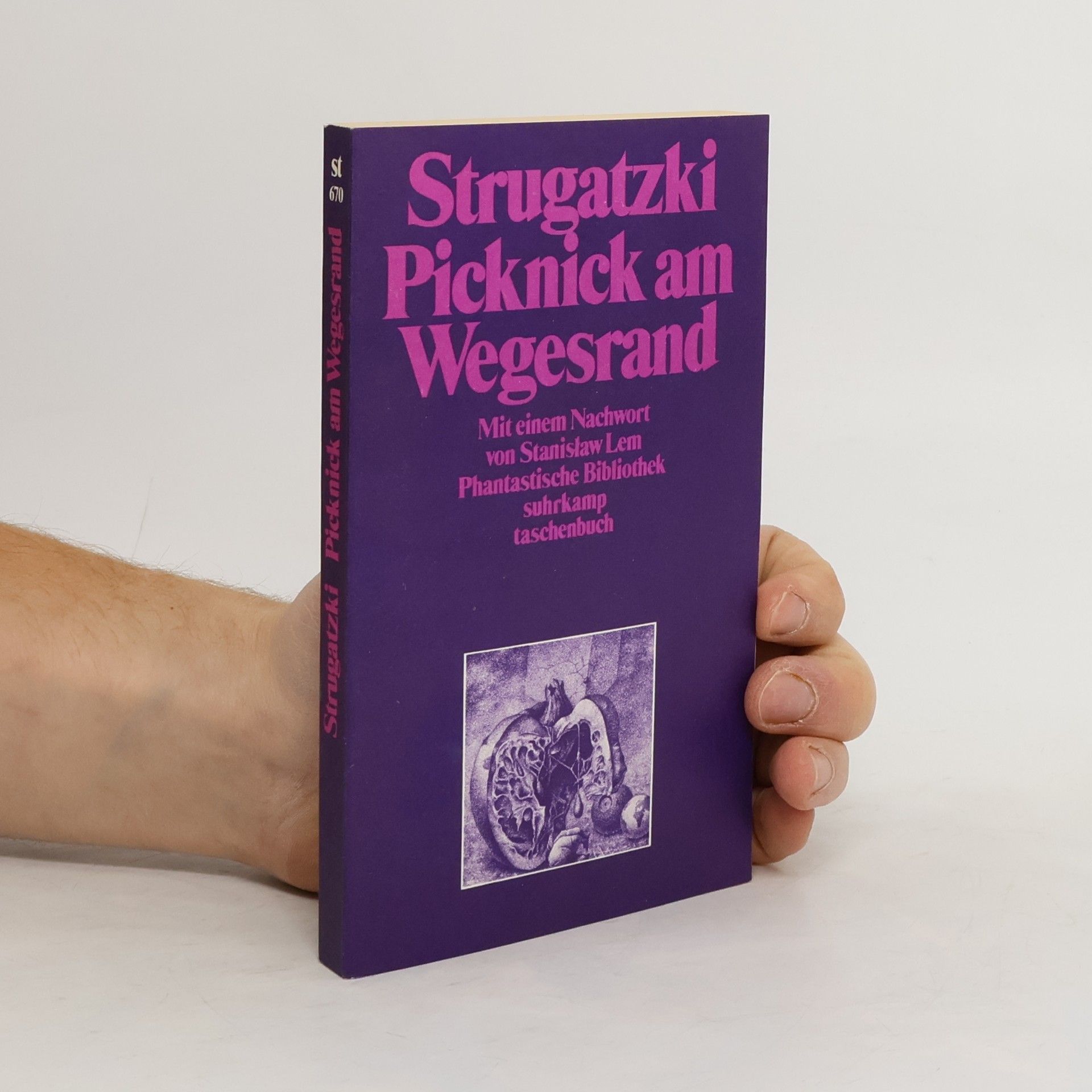 Arkady Strugatsky Picknick am Wegesrand